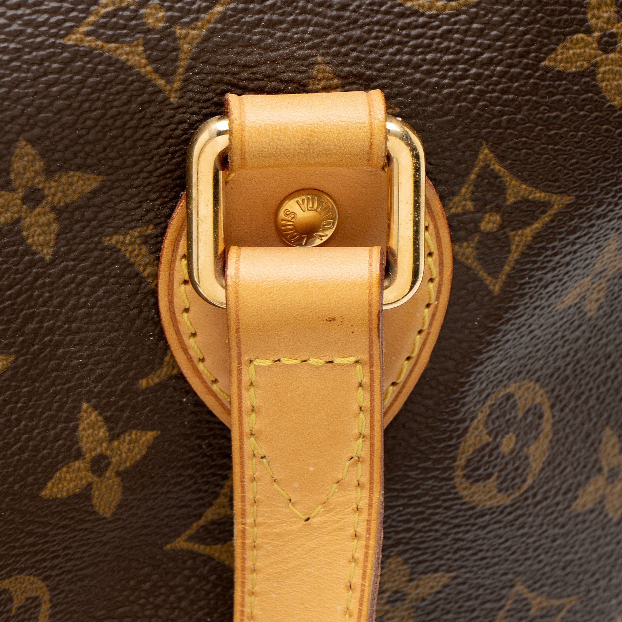 Louis Vuitton Monogram Canvas Palermo PM Tote