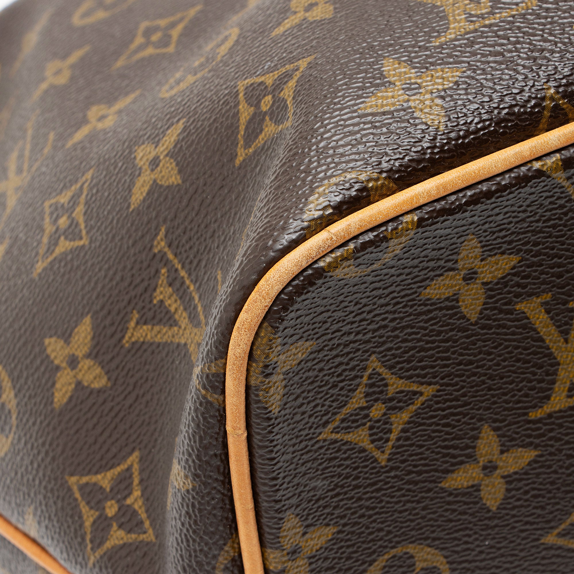 Louis Vuitton Monogram Canvas Palermo PM Tote