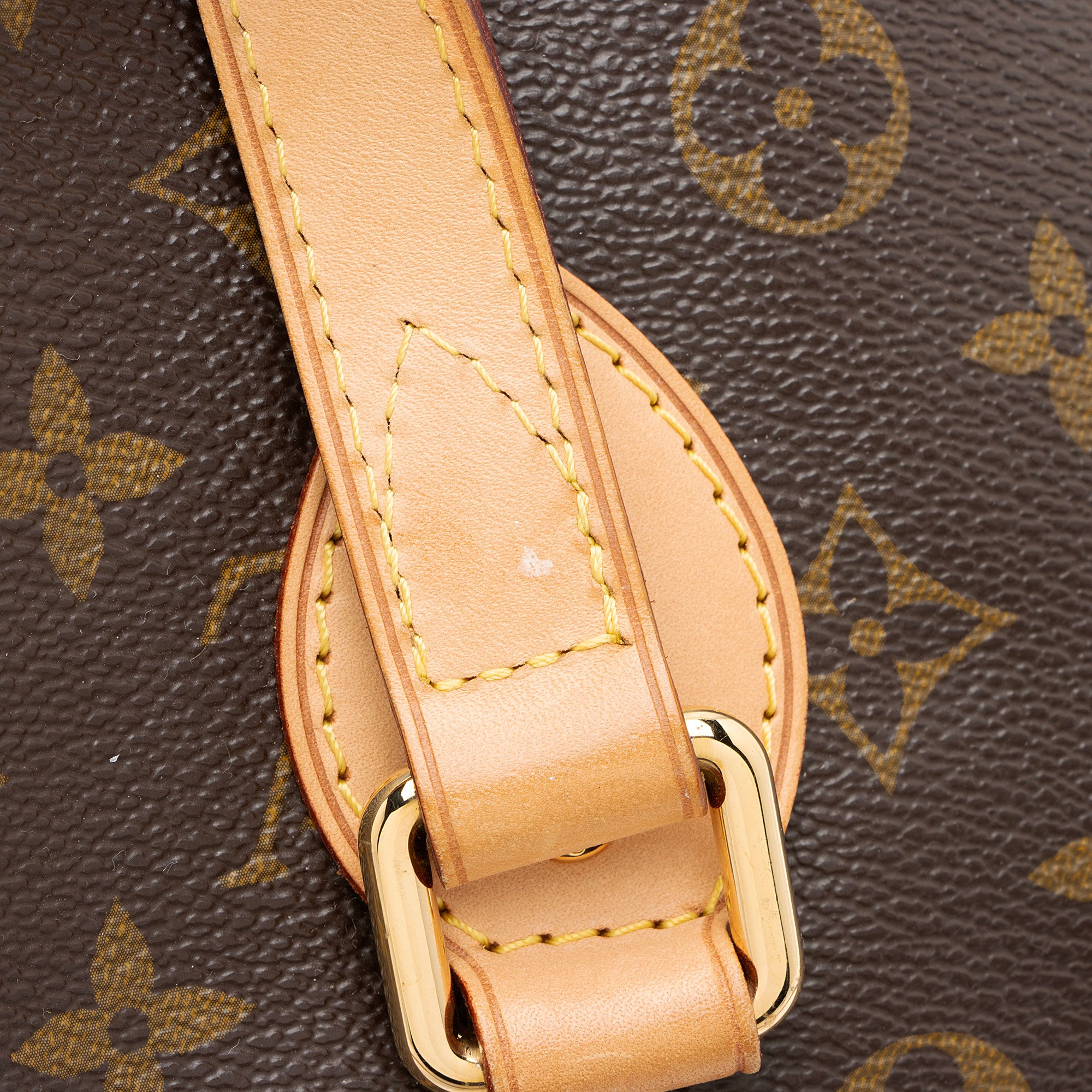 Louis Vuitton Monogram Canvas Palermo PM Tote