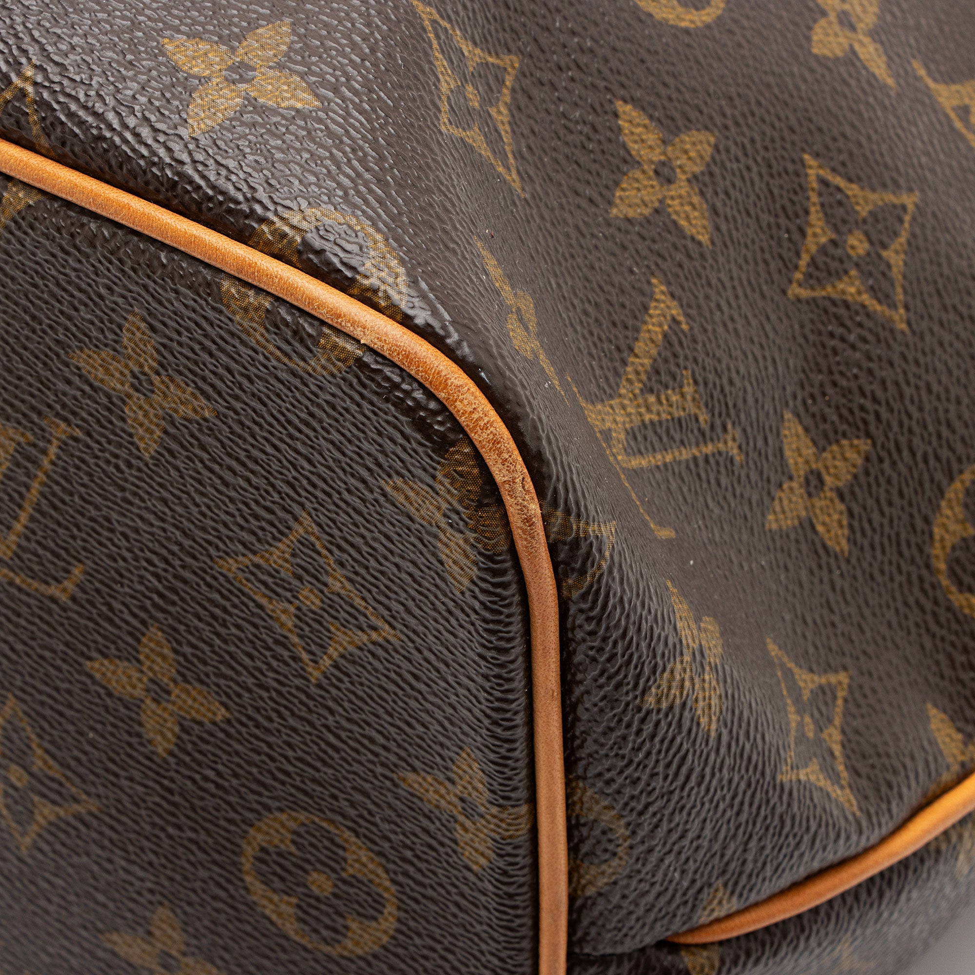 Louis Vuitton Monogram Canvas Palermo PM Tote
