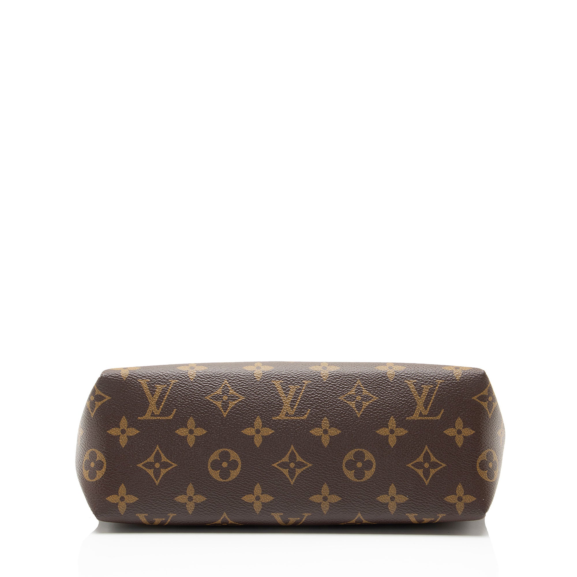 Louis Vuitton Monogram Canvas Pallas Beauty Clutch
