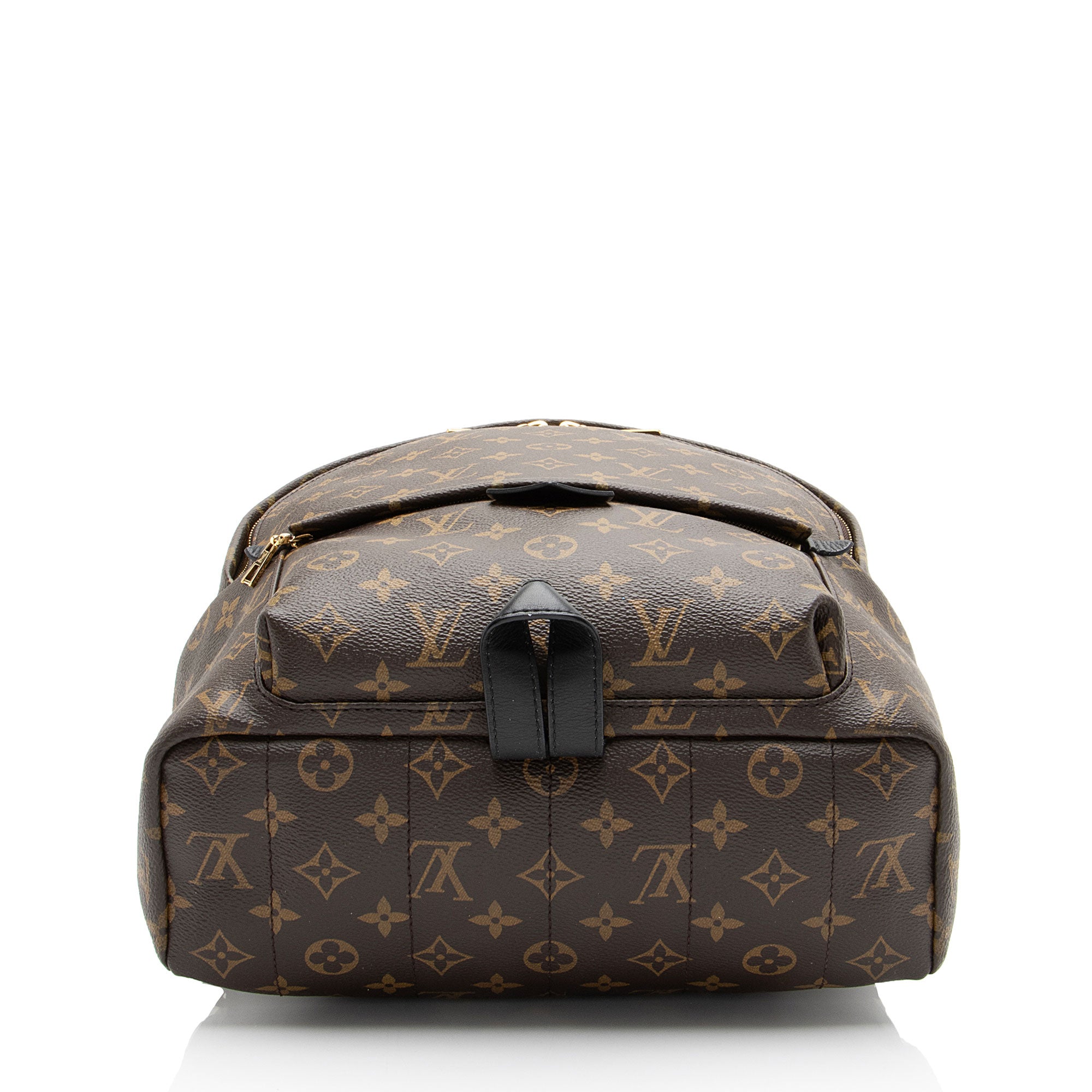 Louis Vuitton Monogram Canvas Palm Springs MM Backpack