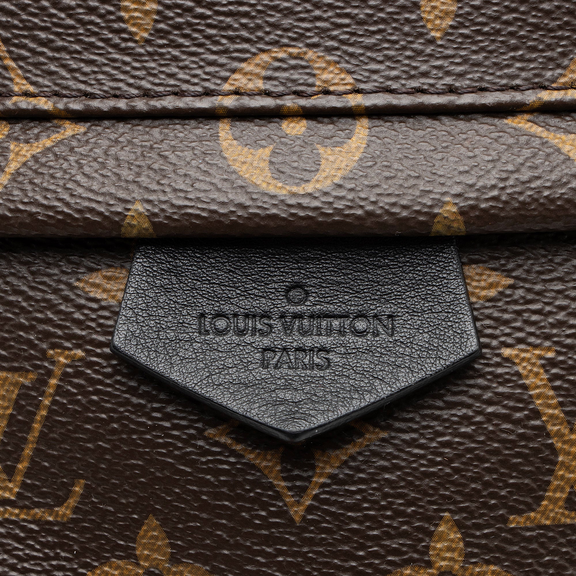 Louis Vuitton Monogram Canvas Palm Springs MM Backpack