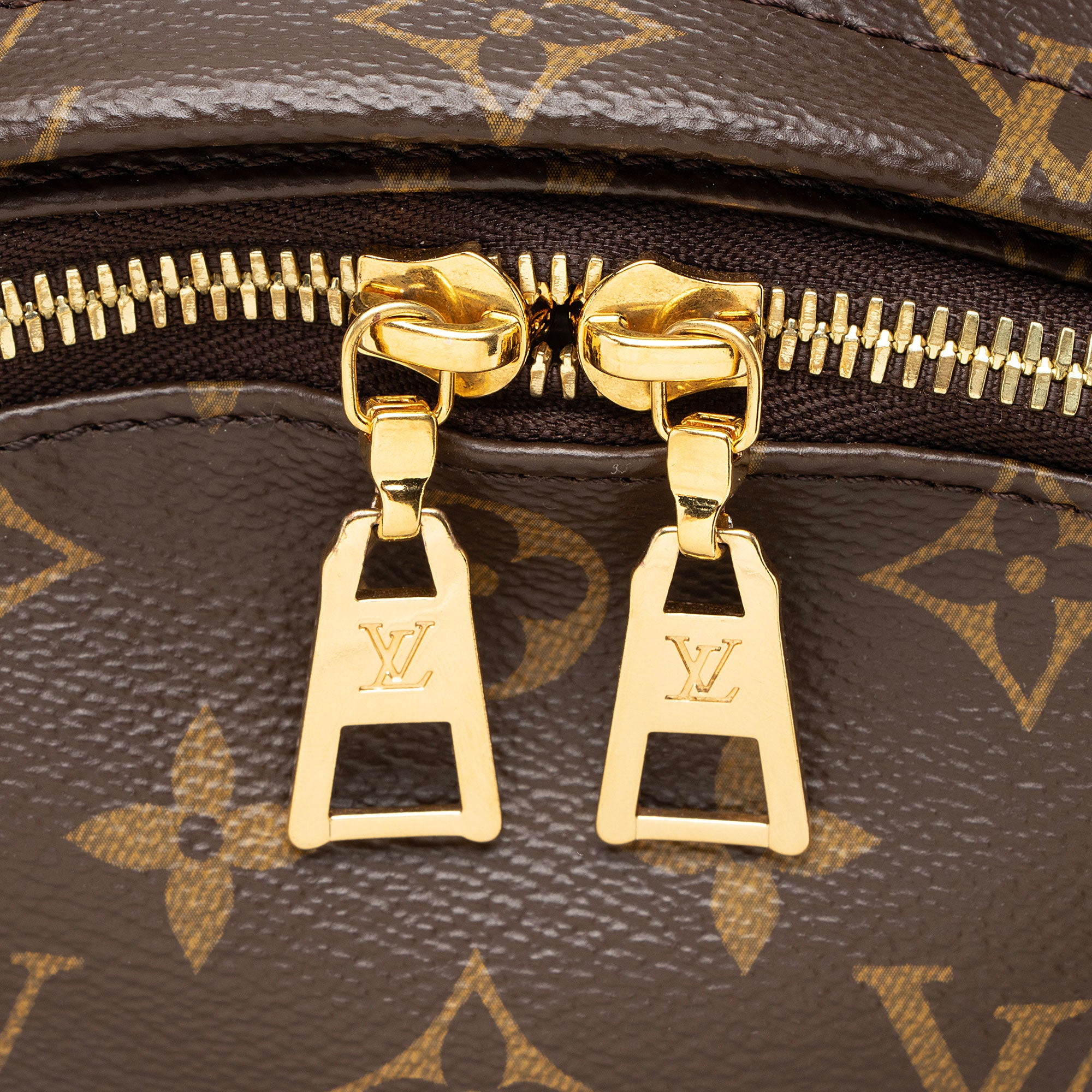 Louis Vuitton Monogram Canvas Palm Springs MM Backpack