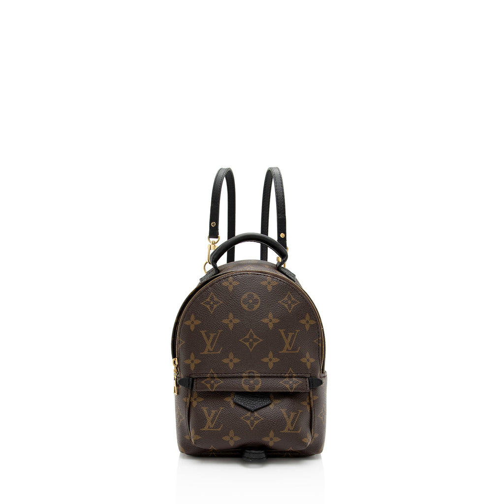 Louis Vuitton Monogram Canvas Palm Springs Mini Backpack Bag