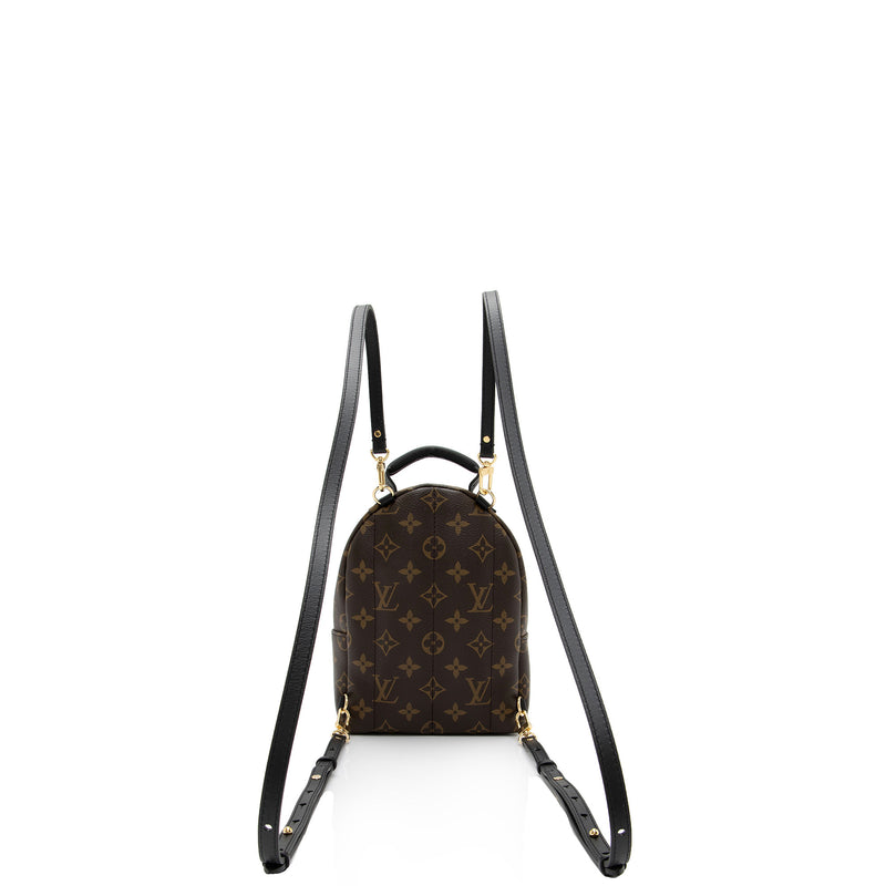 Louis Vuitton Palm Springs Mini Backpack M41562–