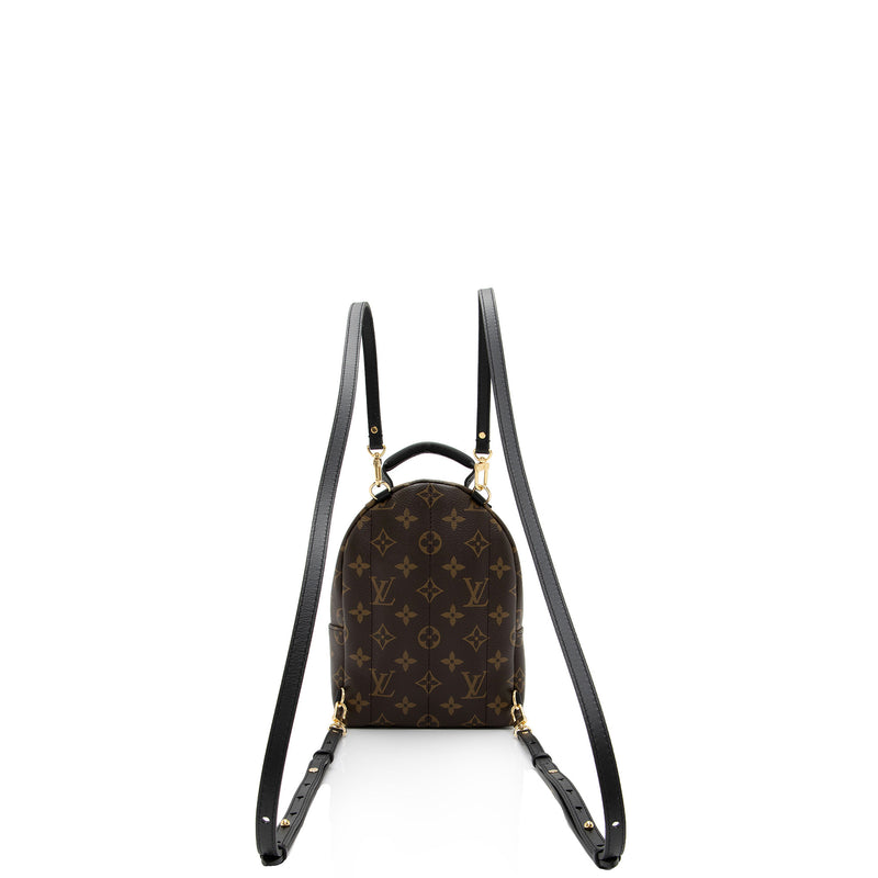 Louis Vuitton Monogram Canvas Palm Springs Mini Backpack