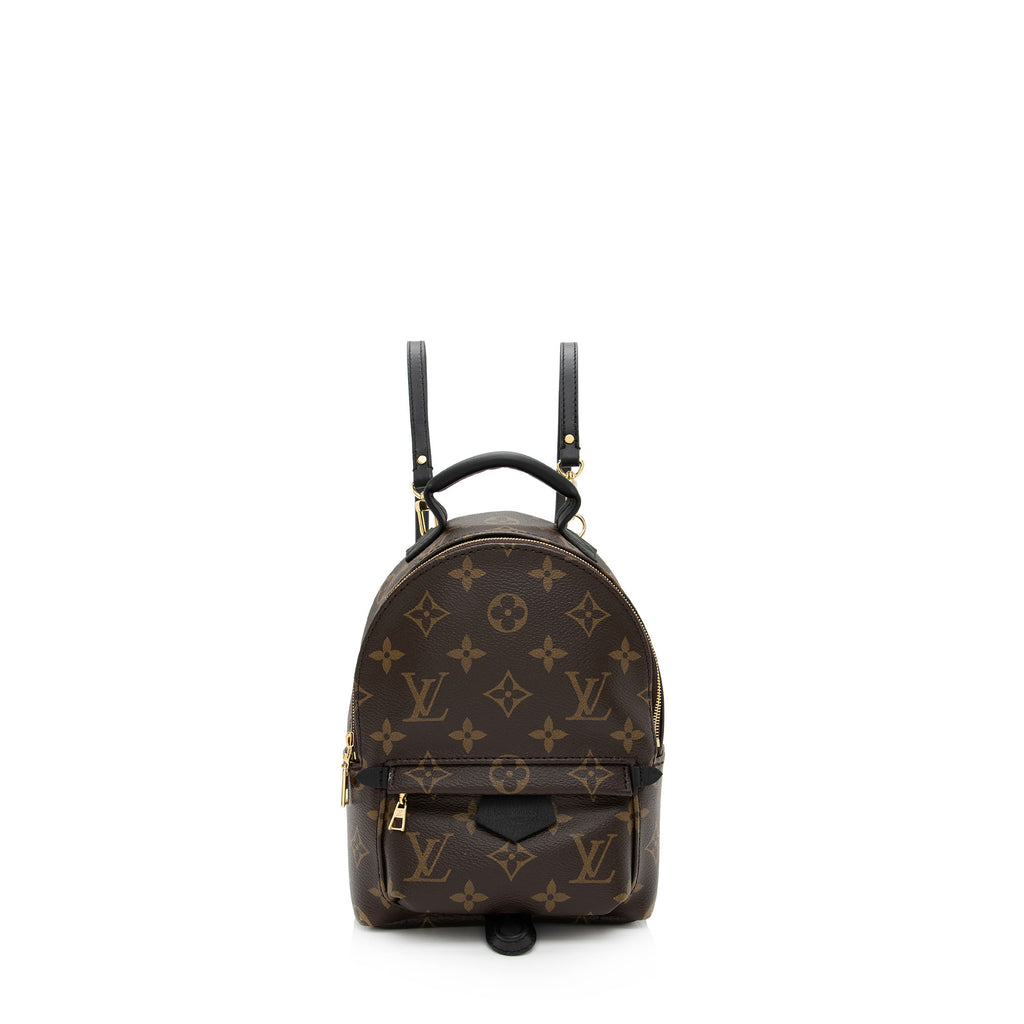 Louis Vuitton Monogram Canvas Palm Springs Mini Backpack Bag