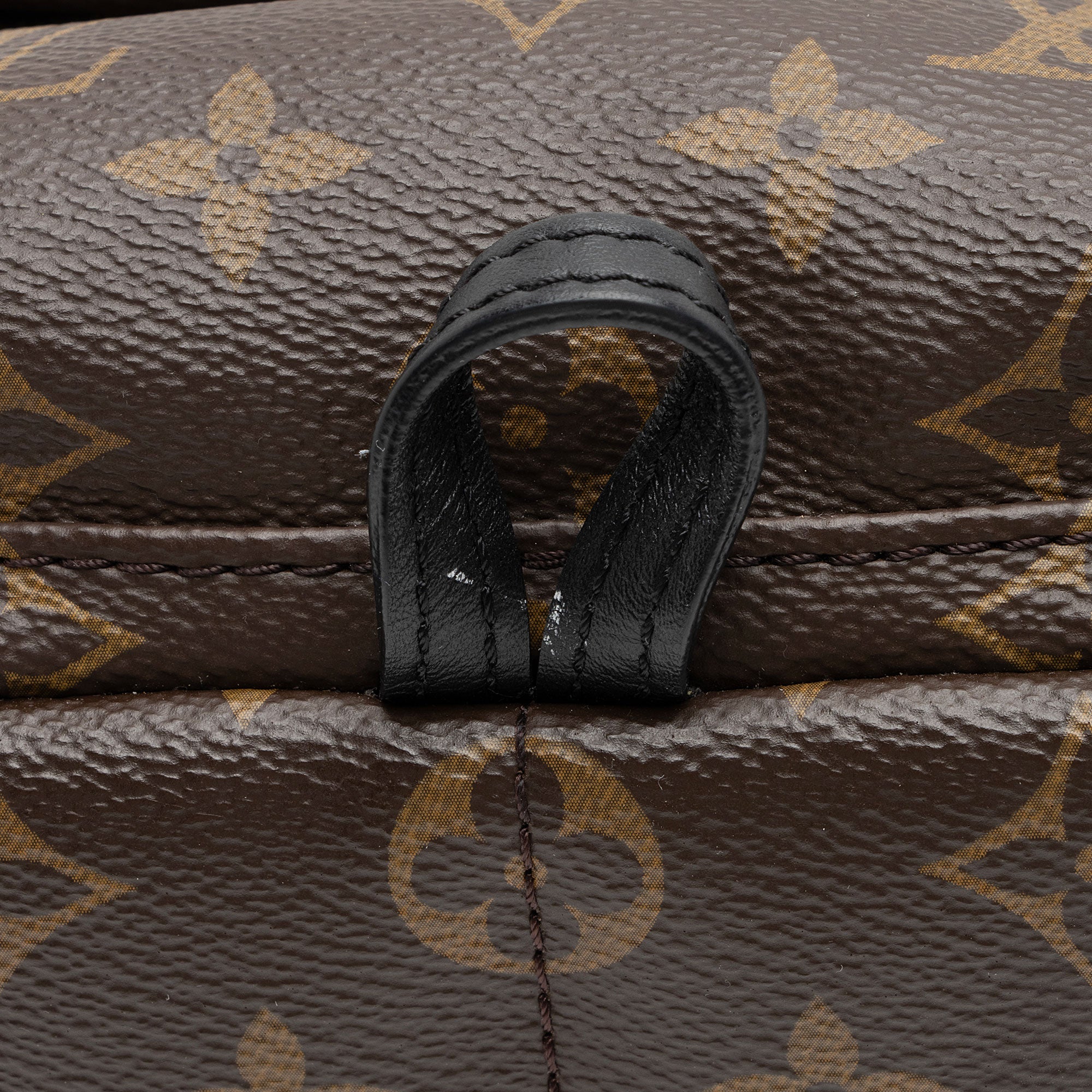 Louis Vuitton Monogram Canvas Palm Springs Mini Backpack