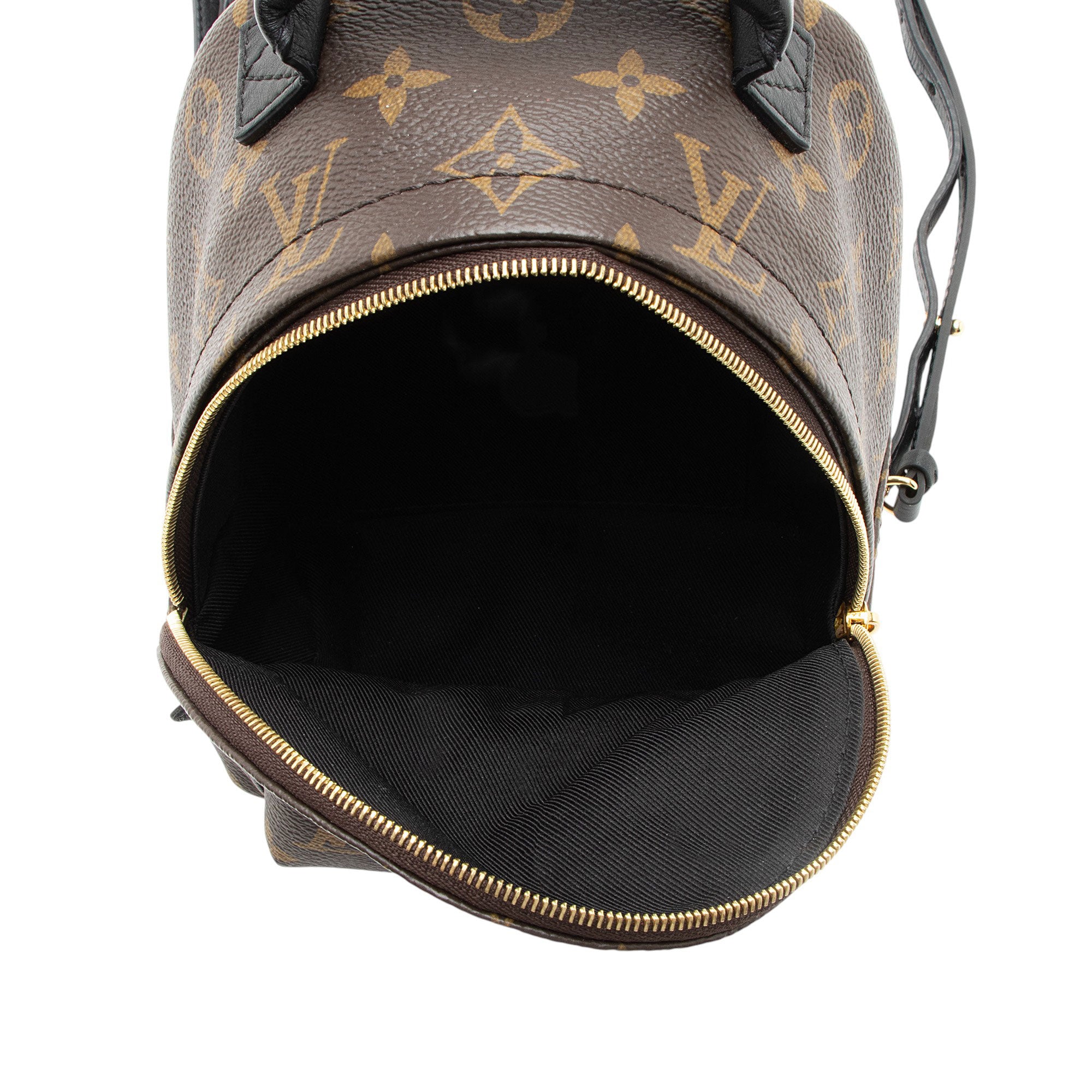 Louis Vuitton Monogram Canvas Palm Springs Mini Backpack
