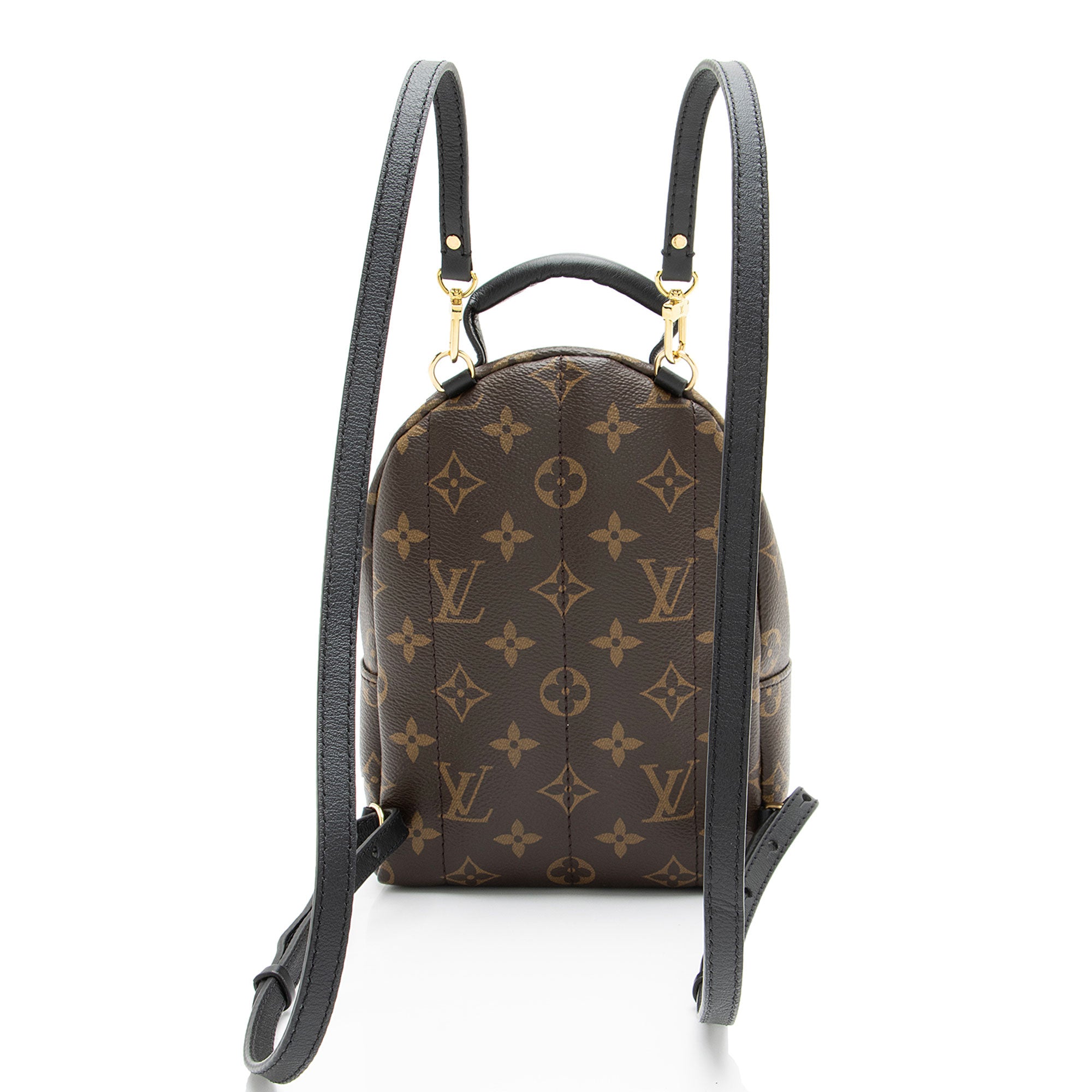 Louis Vuitton Monogram Canvas Palm Springs Mini Backpack