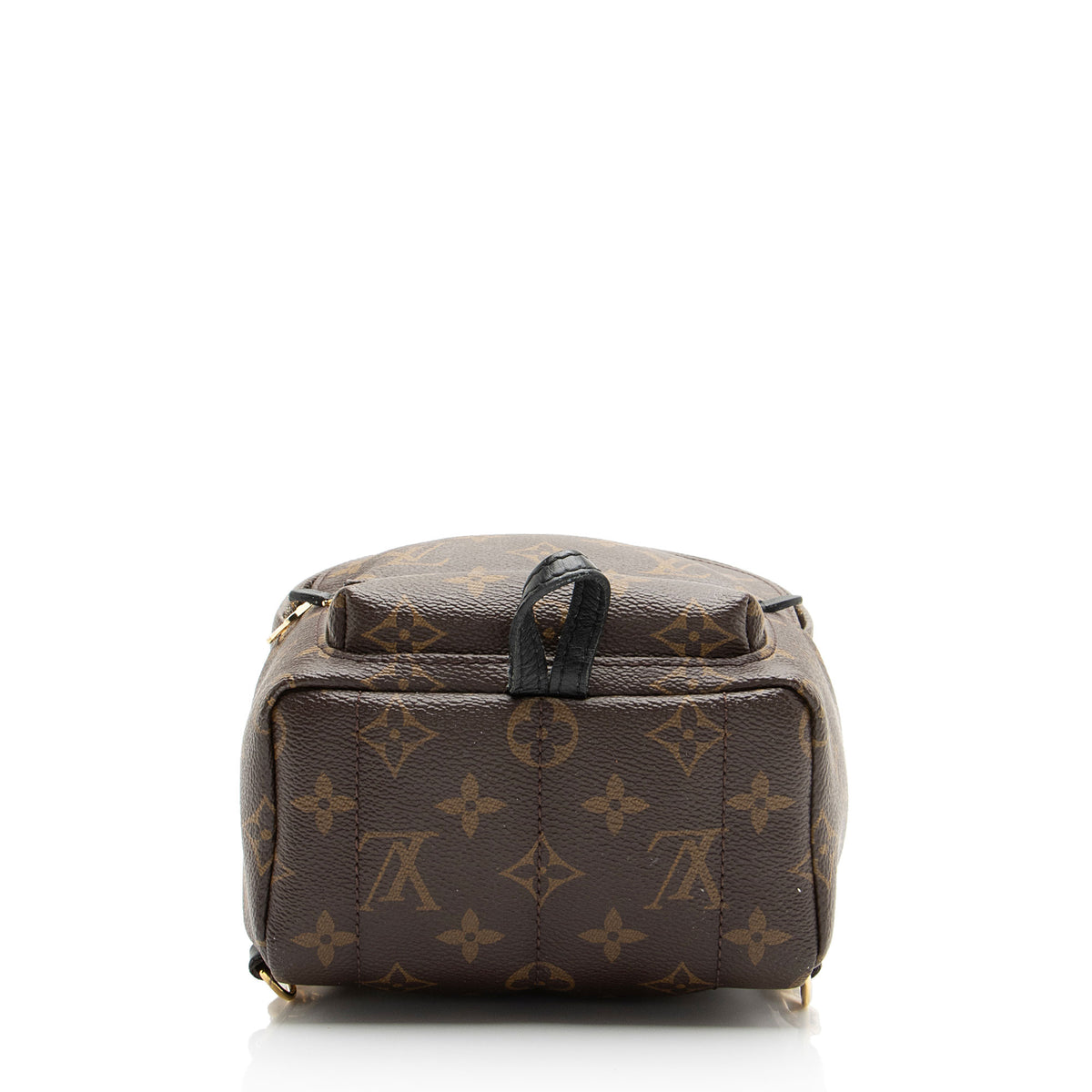 Louis Vuitton Monogram Canvas Palm Springs Mini Backpack