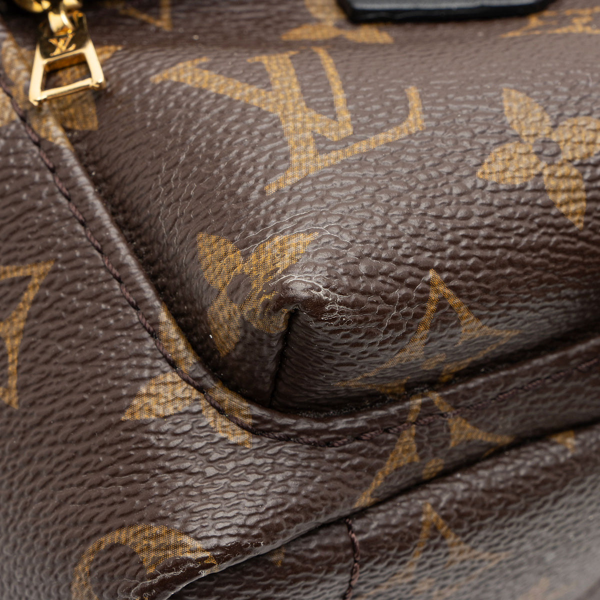 Louis Vuitton Monogram Canvas Palm Springs Mini Backpack