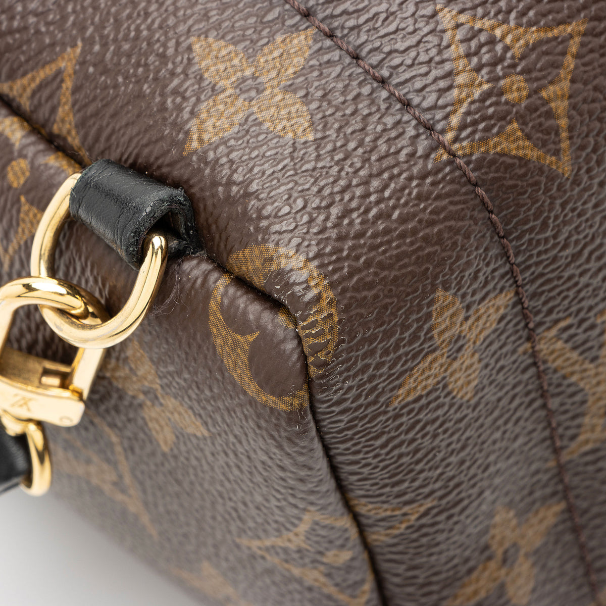 Louis Vuitton Monogram Canvas Palm Springs Mini Backpack