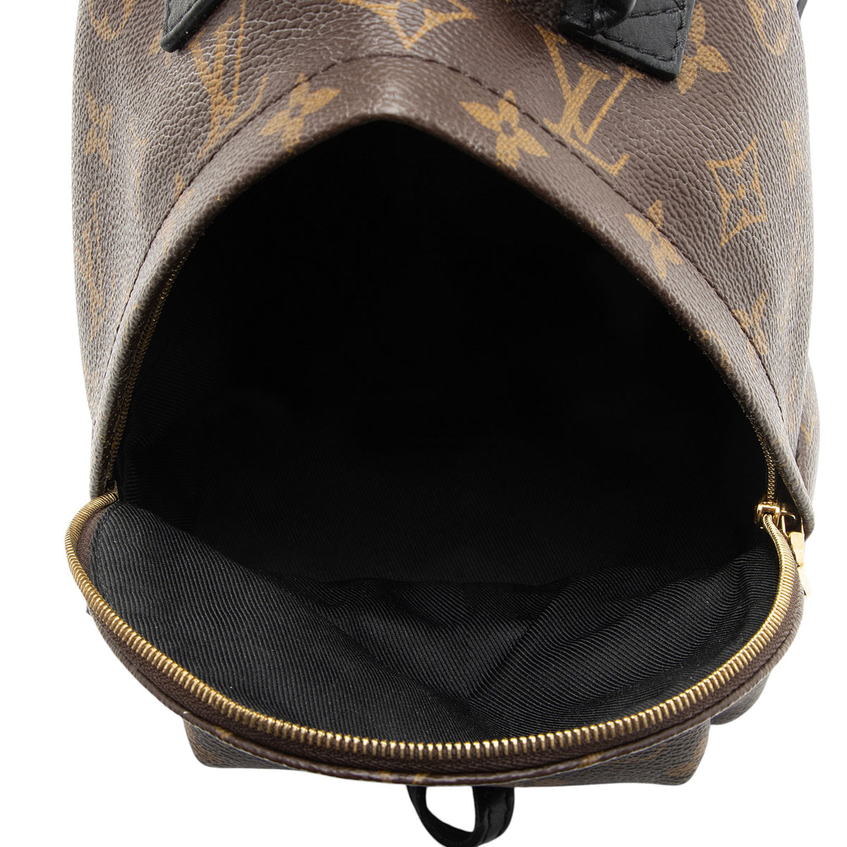 Louis Vuitton Monogram Canvas Palm Springs Mini Backpack