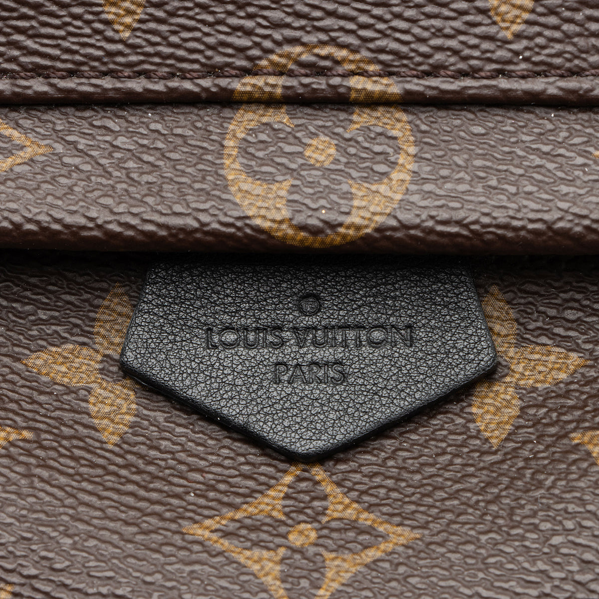 Louis Vuitton Monogram Canvas Palm Springs Mini Backpack