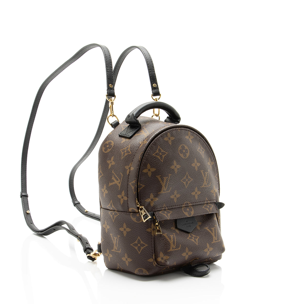 Louis Vuitton Monogram Canvas Palm Springs Mini Backpack