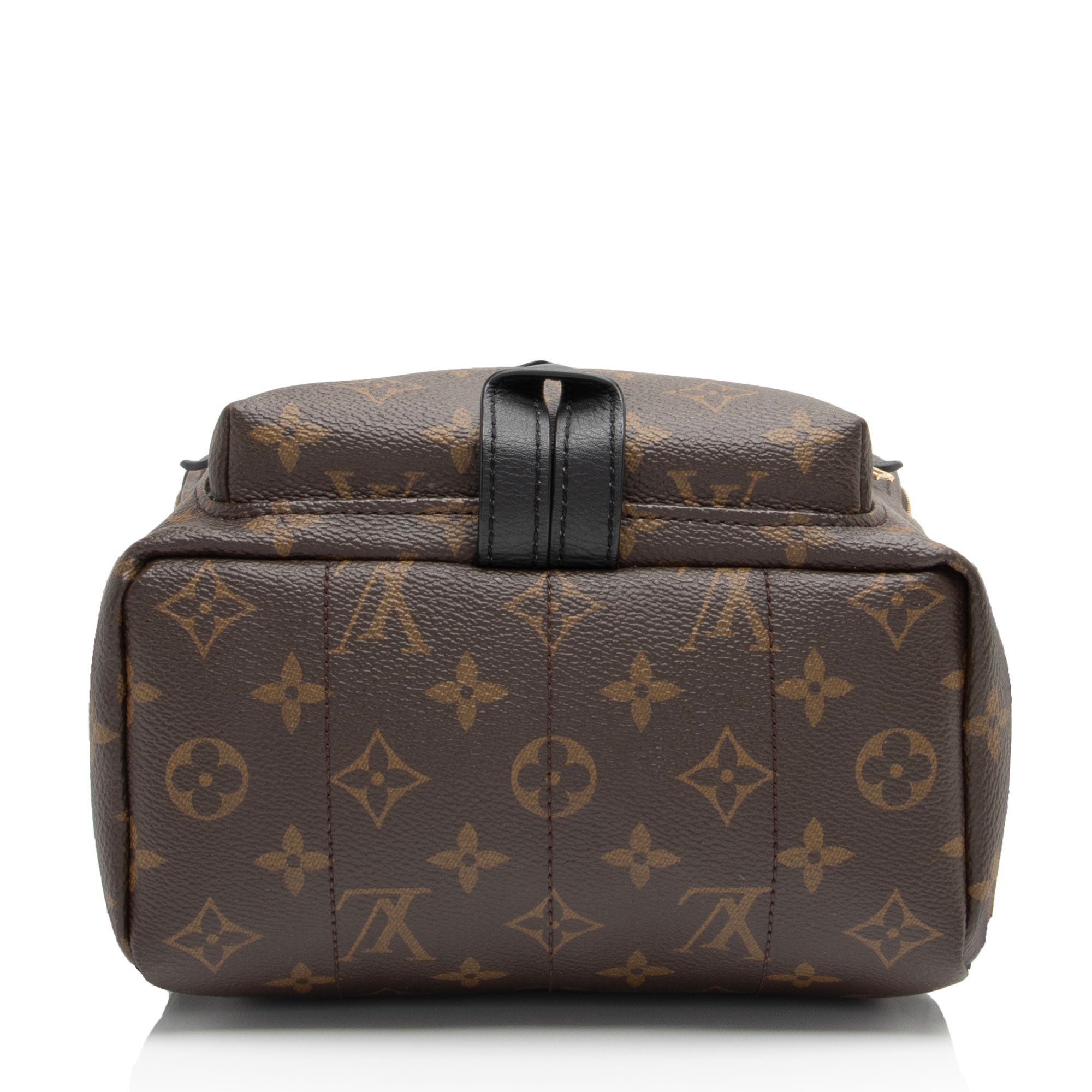 Louis Vuitton Monogram Canvas Palm Springs PM Backpack (SHF-4Fix8f)