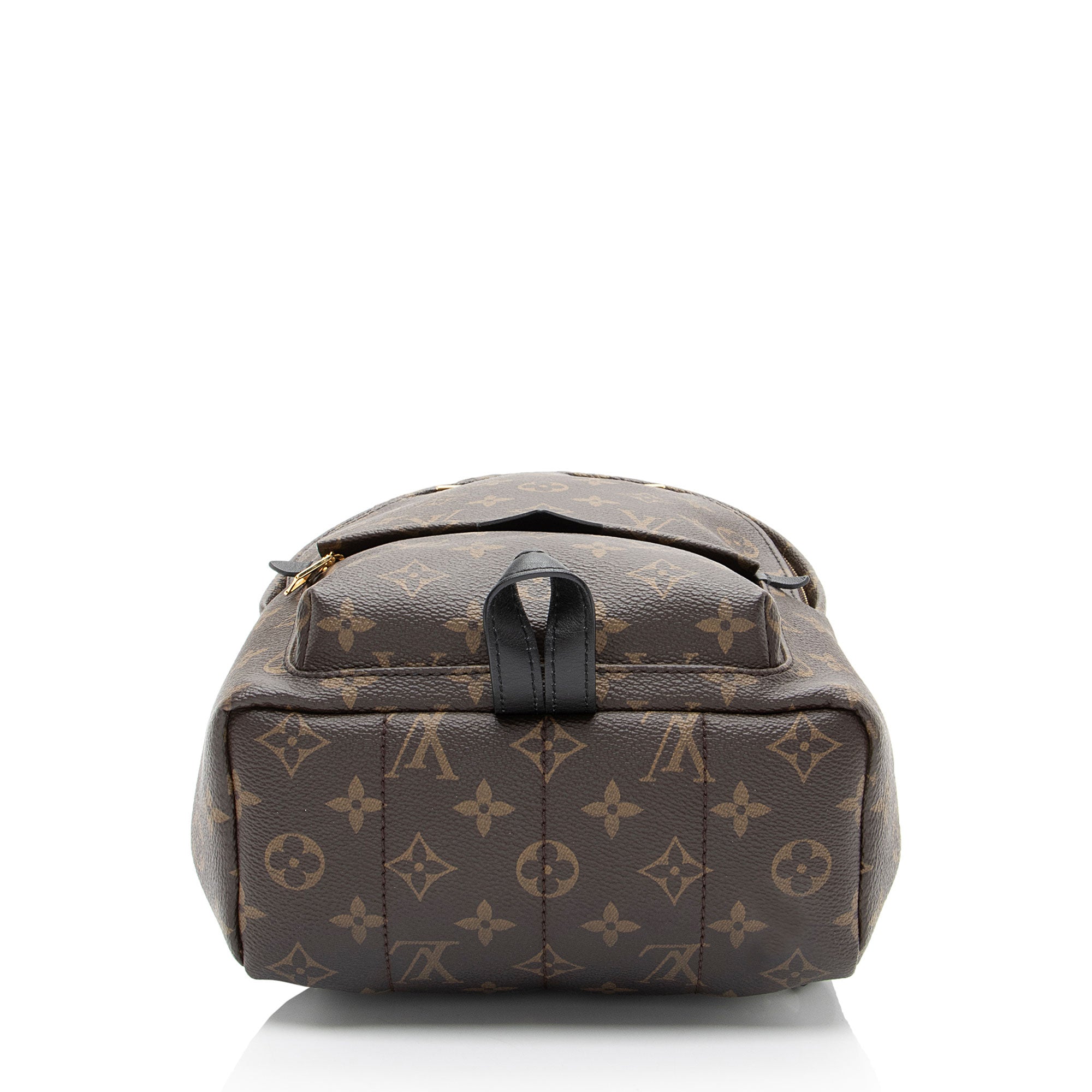 Louis Vuitton Monogram Canvas Palm Springs PM Backpack