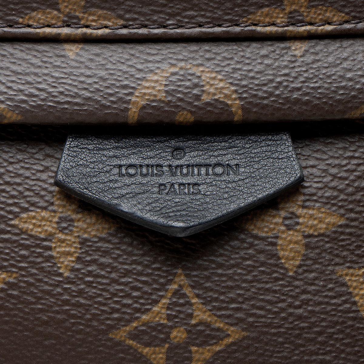 Louis Vuitton Monogram Canvas Palm Springs PM Backpack