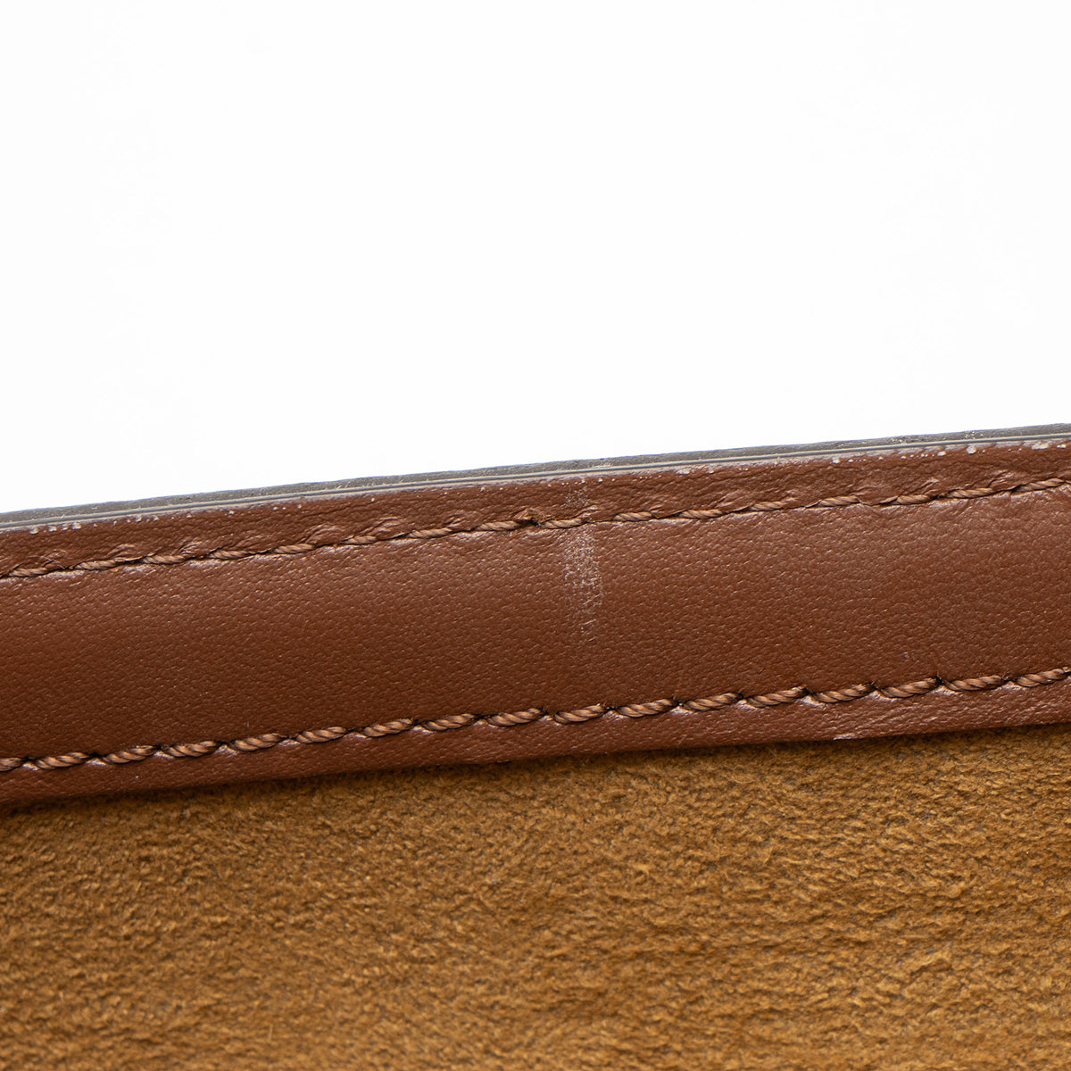 Louis Vuitton Monogram Canvas Papillon Trunk Bag