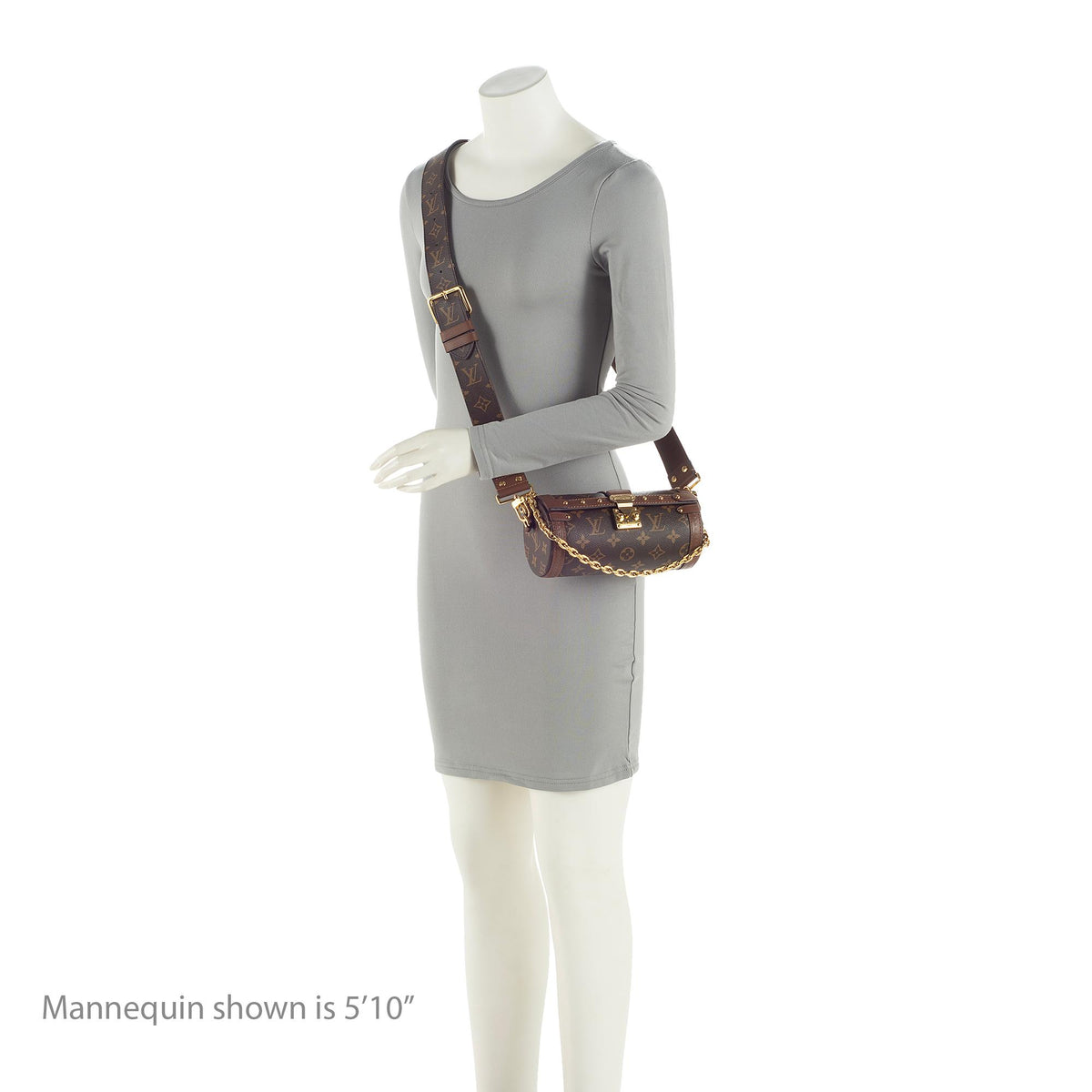 Louis Vuitton Monogram Canvas Papillon Trunk Bag