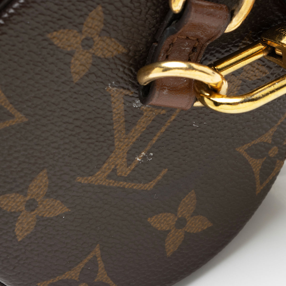 Louis Vuitton Monogram Canvas Papillon Trunk Bag