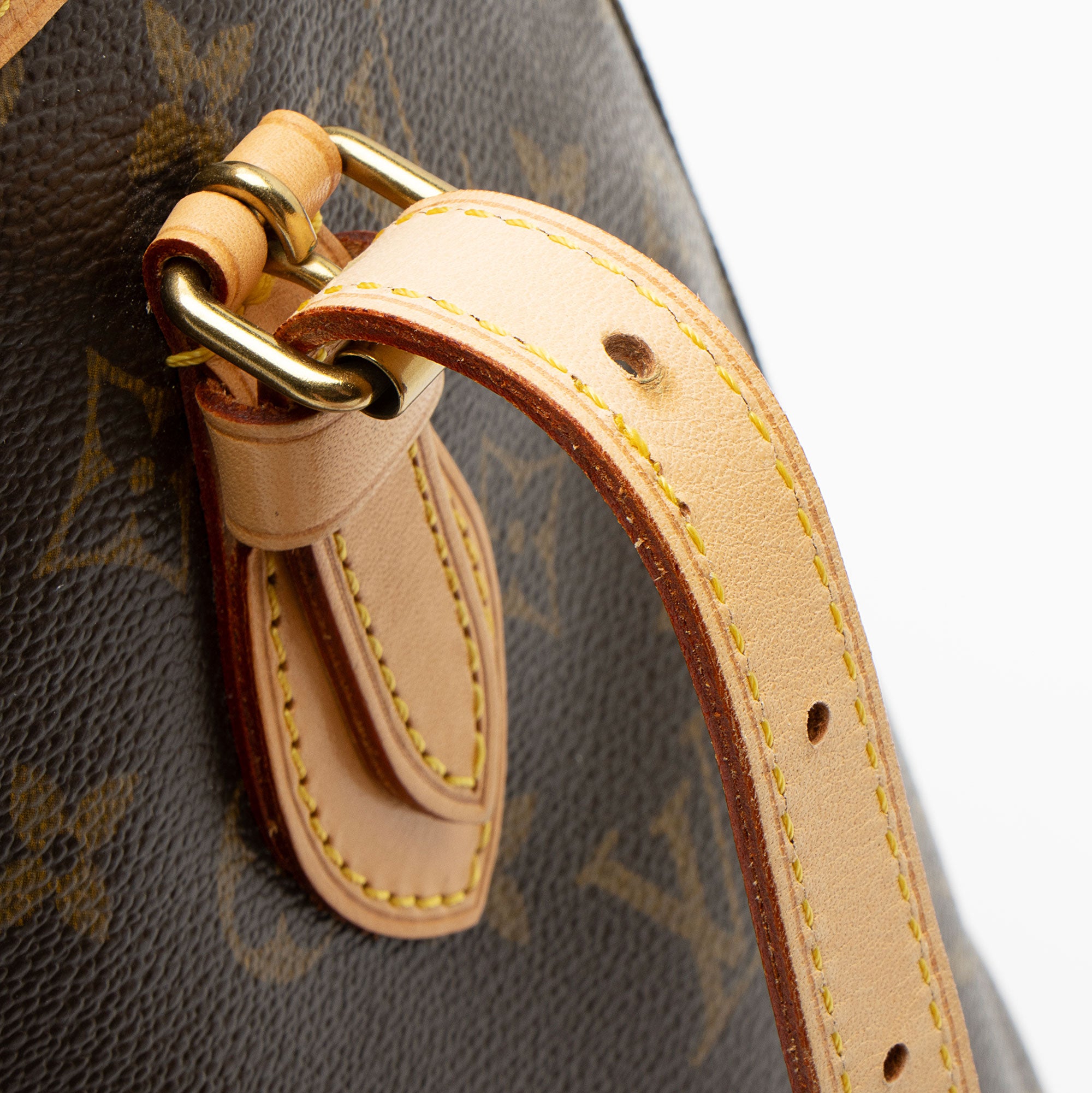 Louis Vuitton Monogram Canvas Petit Bucket Tote (SHF-7aH0Xv)