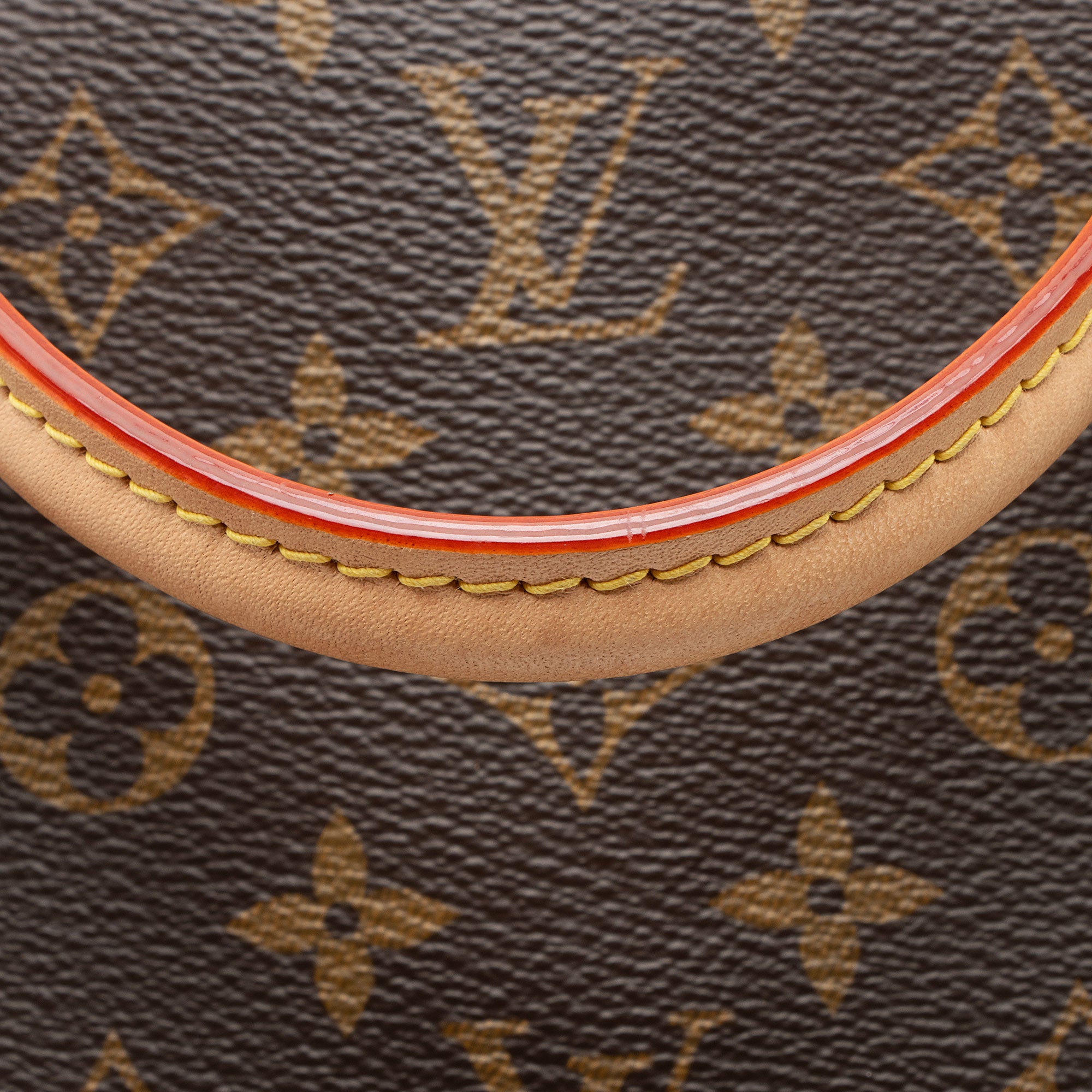 Louis Vuitton Monogram Canvas Petit Palais Tote