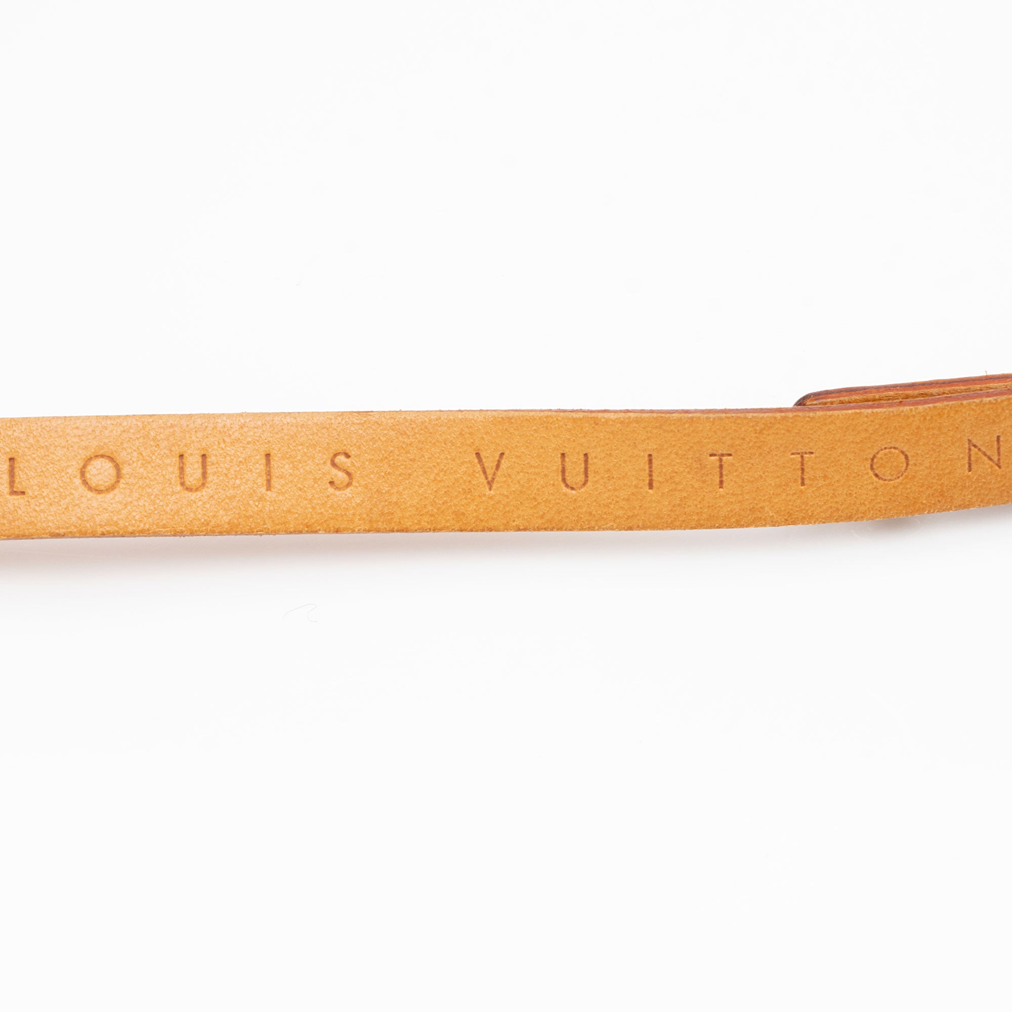 Louis Vuitton Monogram Canvas Pochette Florentine Small Belt Bag (SHF-iqnY6U)
