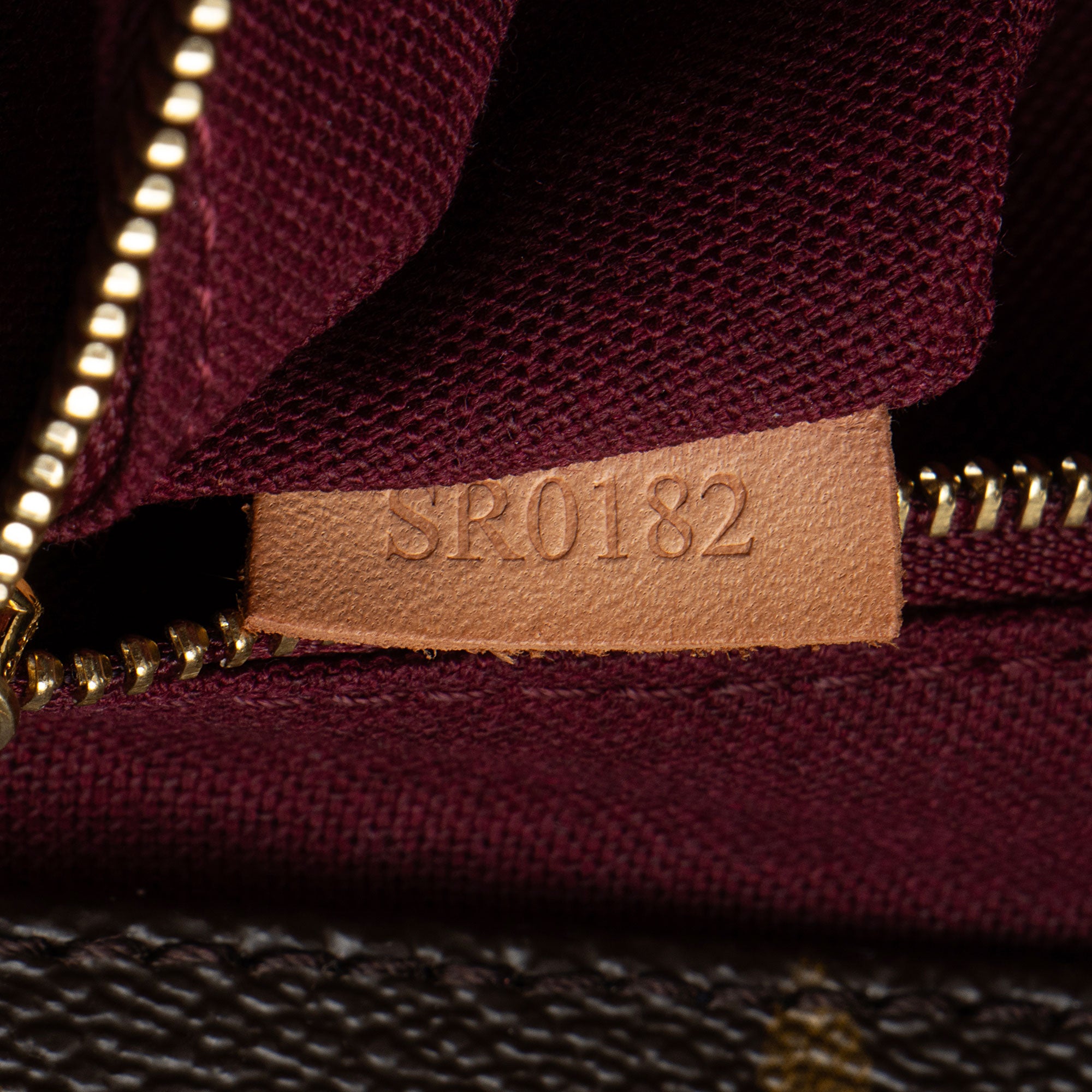 Louis Vuitton Monogram Canvas Raspail MM Tote
