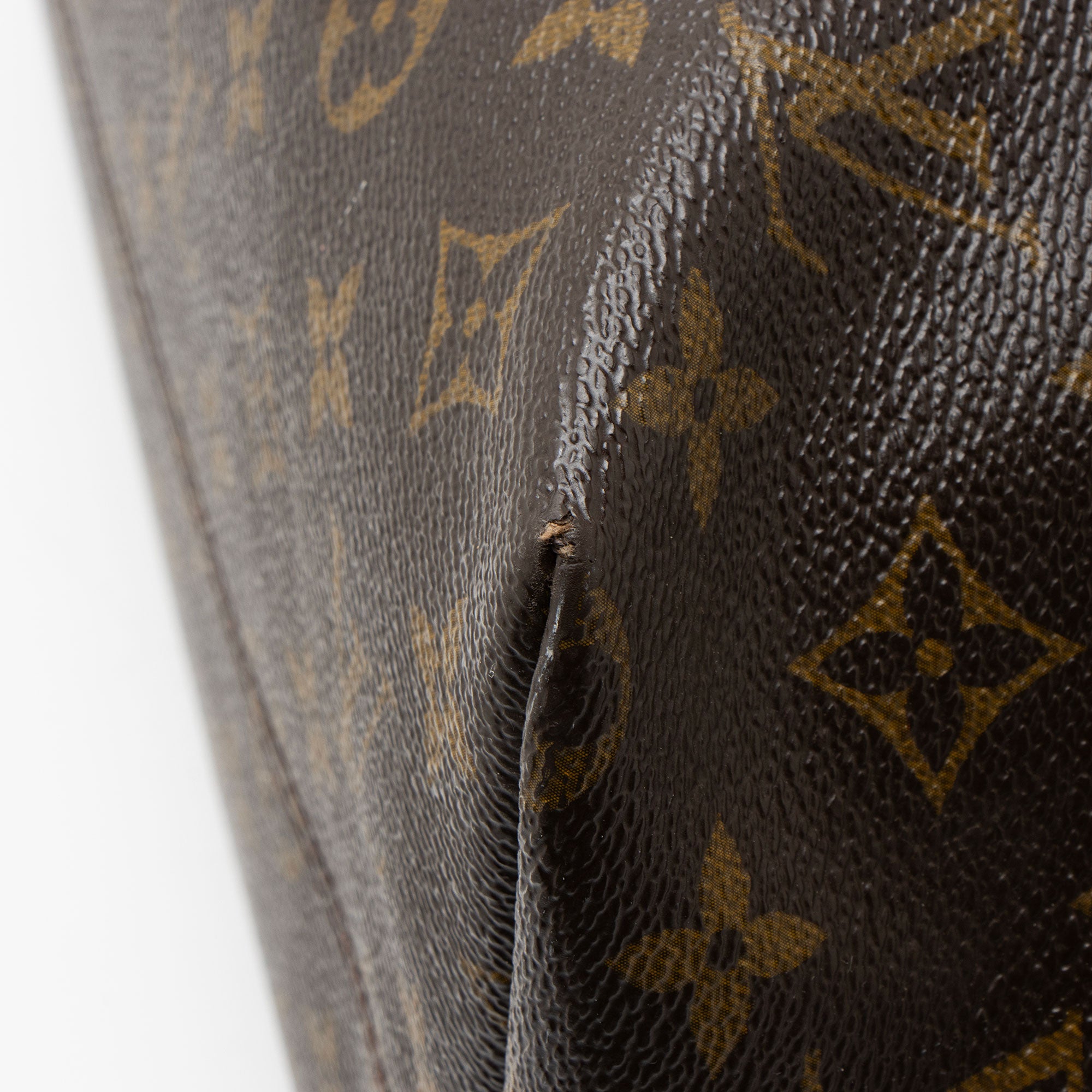 Louis Vuitton Monogram Canvas Raspail MM Tote