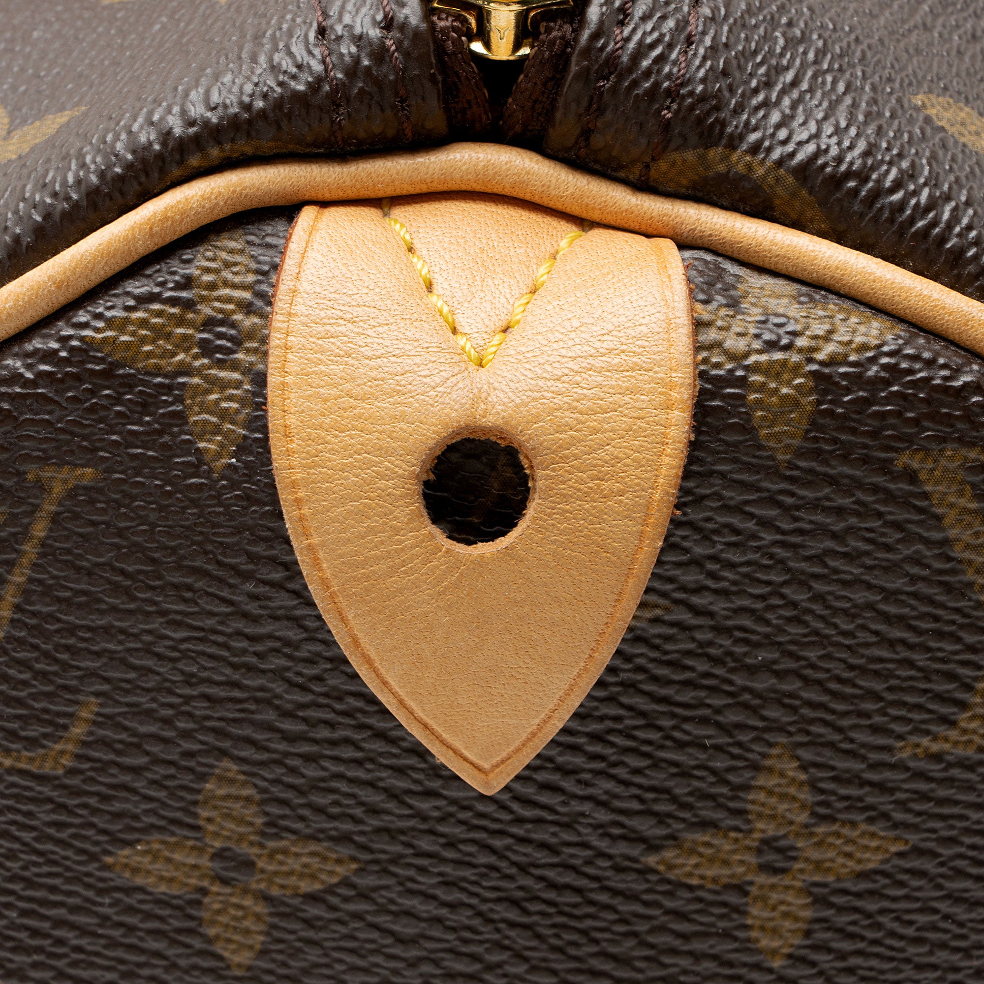 Louis Vuitton Monogram Canvas Speedy 30 Satchel