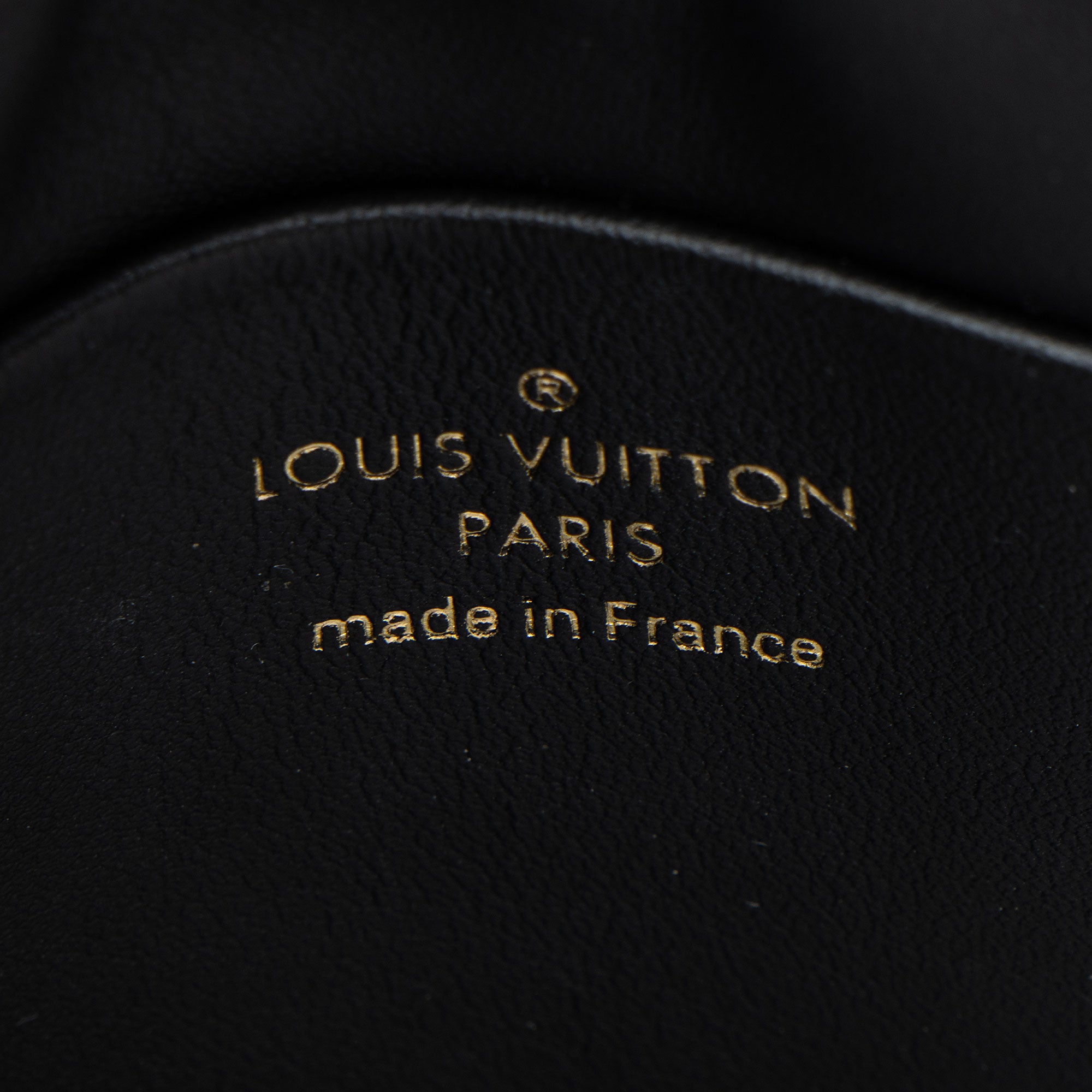 Louis Vuitton Monogram Canvas Thelma Pochette