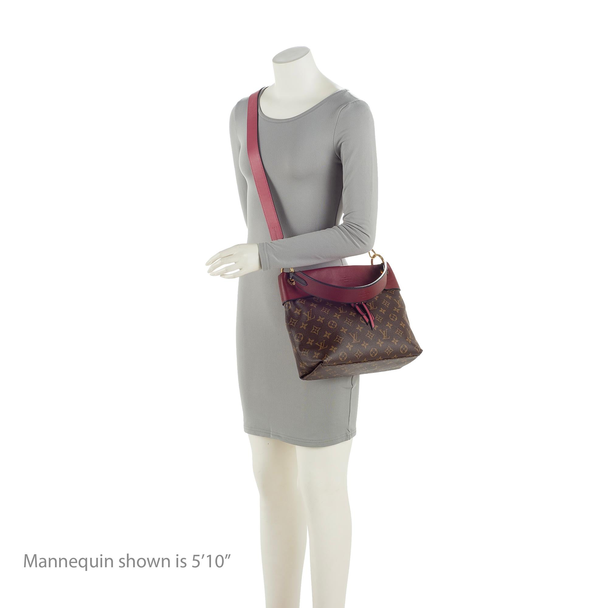 Louis Vuitton Monogram Canvas Tuileries Besace Shoulder Bag (SHF-23651)