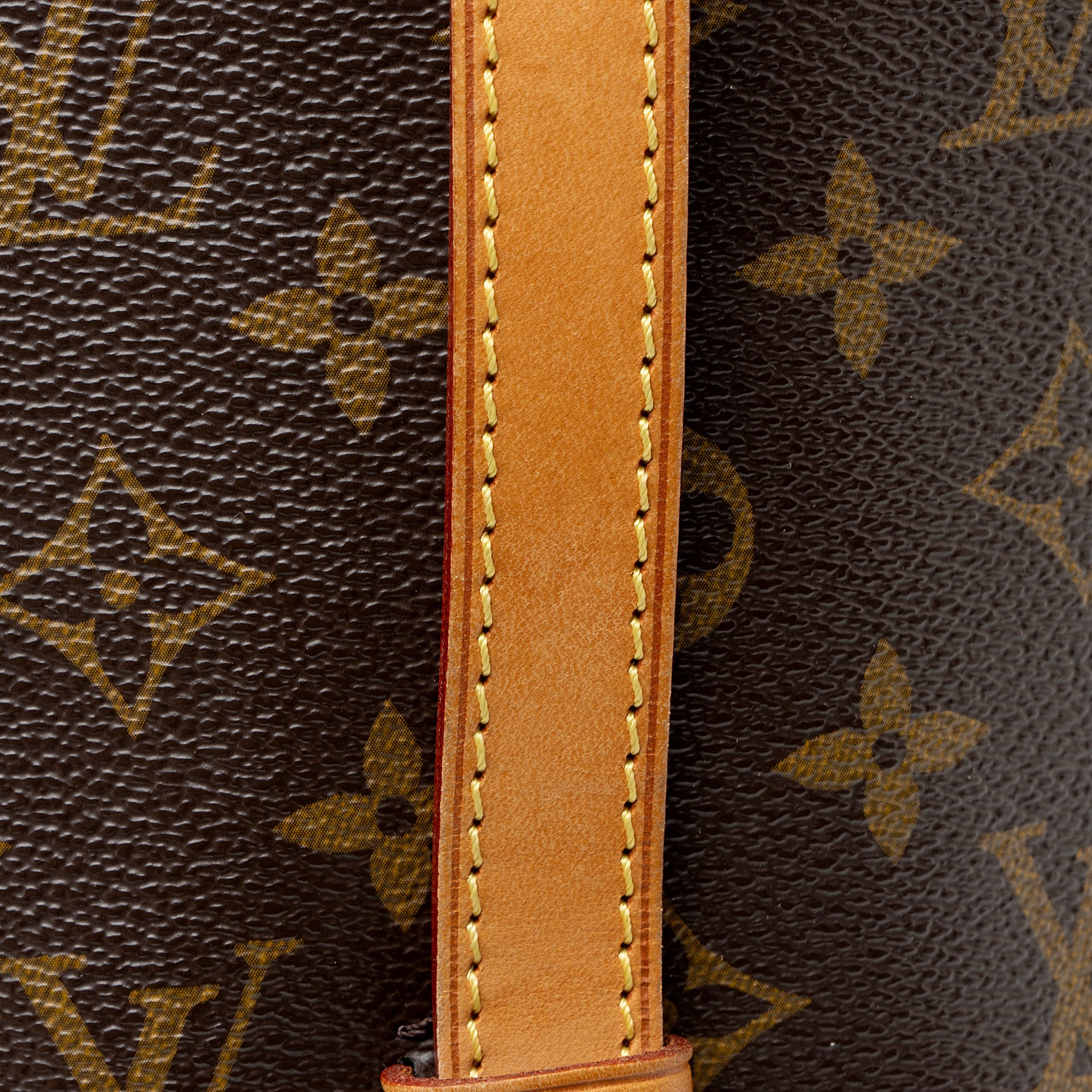 Louis Vuitton Monogram Canvas Tuileries Tote
