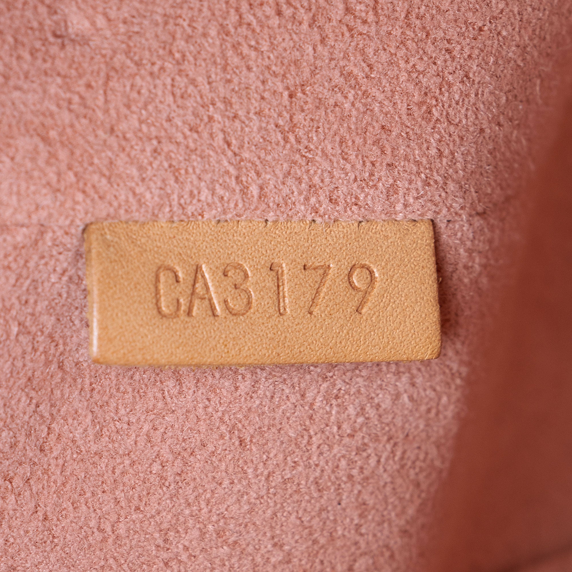 Louis Vuitton Monogram Canvas V Tote BB