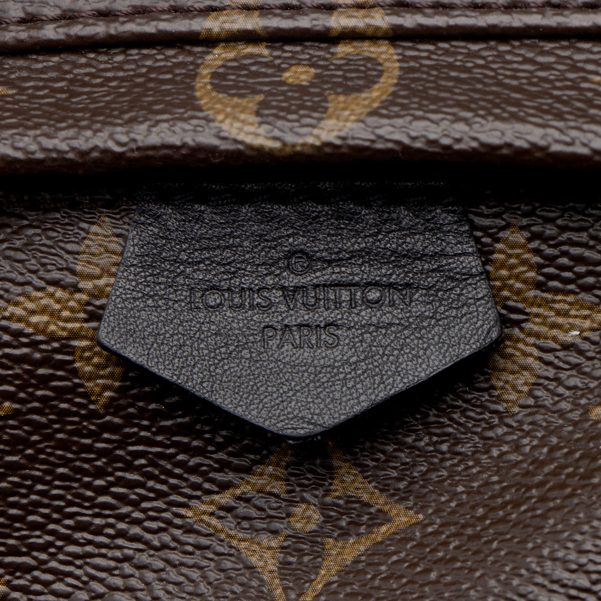 Louis Vuitton Monogram Canvas World Tour Palm Springs Mini Backpack