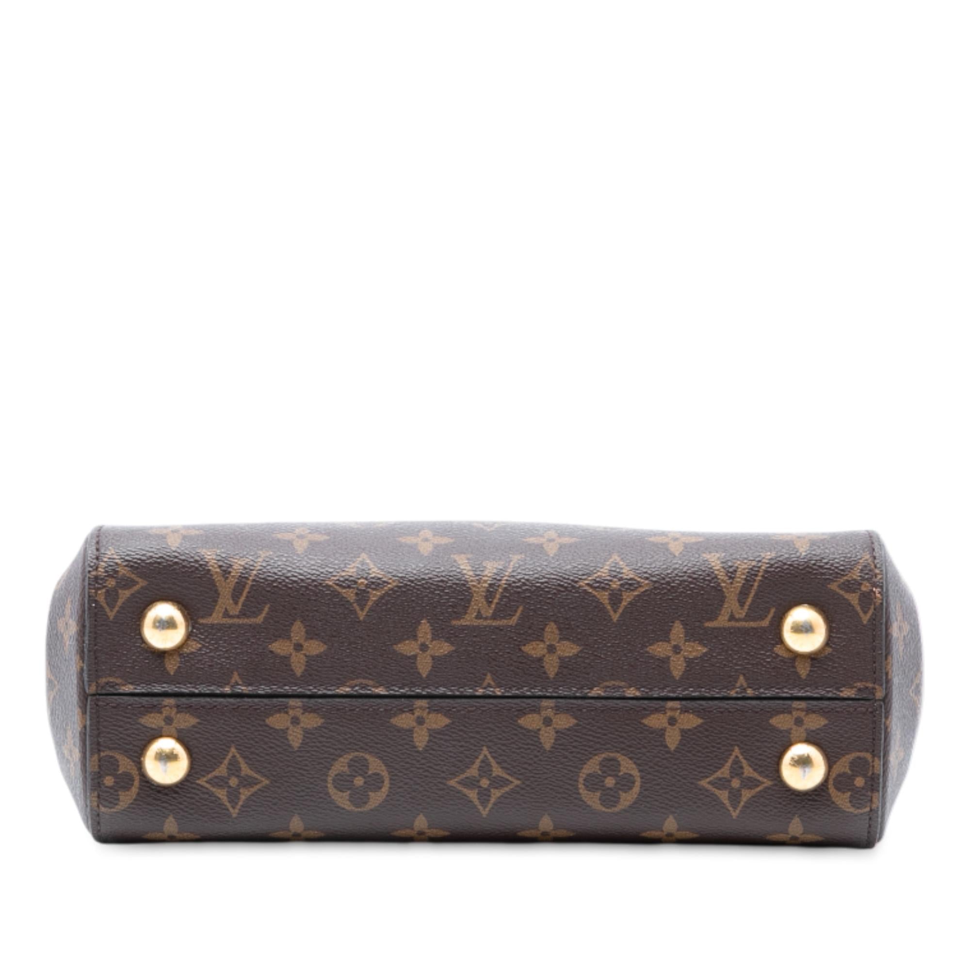 Louis Vuitton Monogram Cluny BB