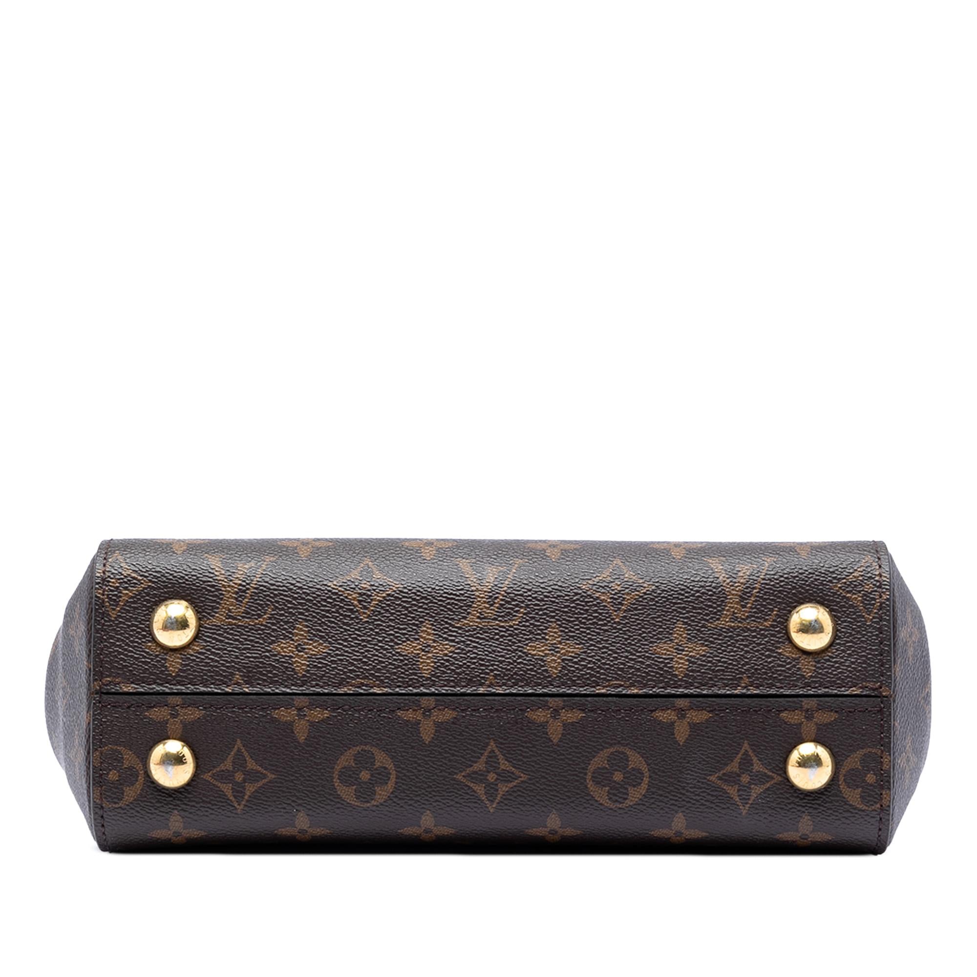 Louis Vuitton Monogram Cluny BB