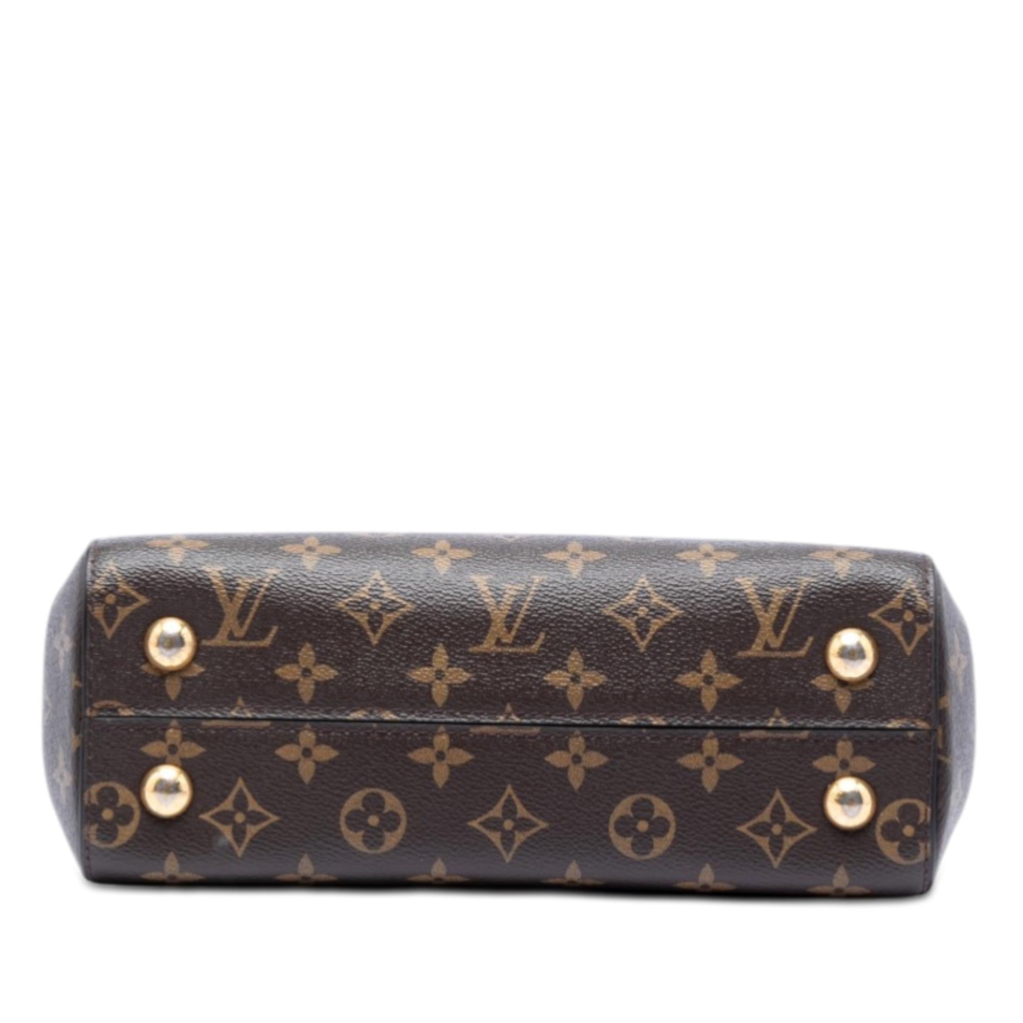 Louis Vuitton Monogram Cluny BB