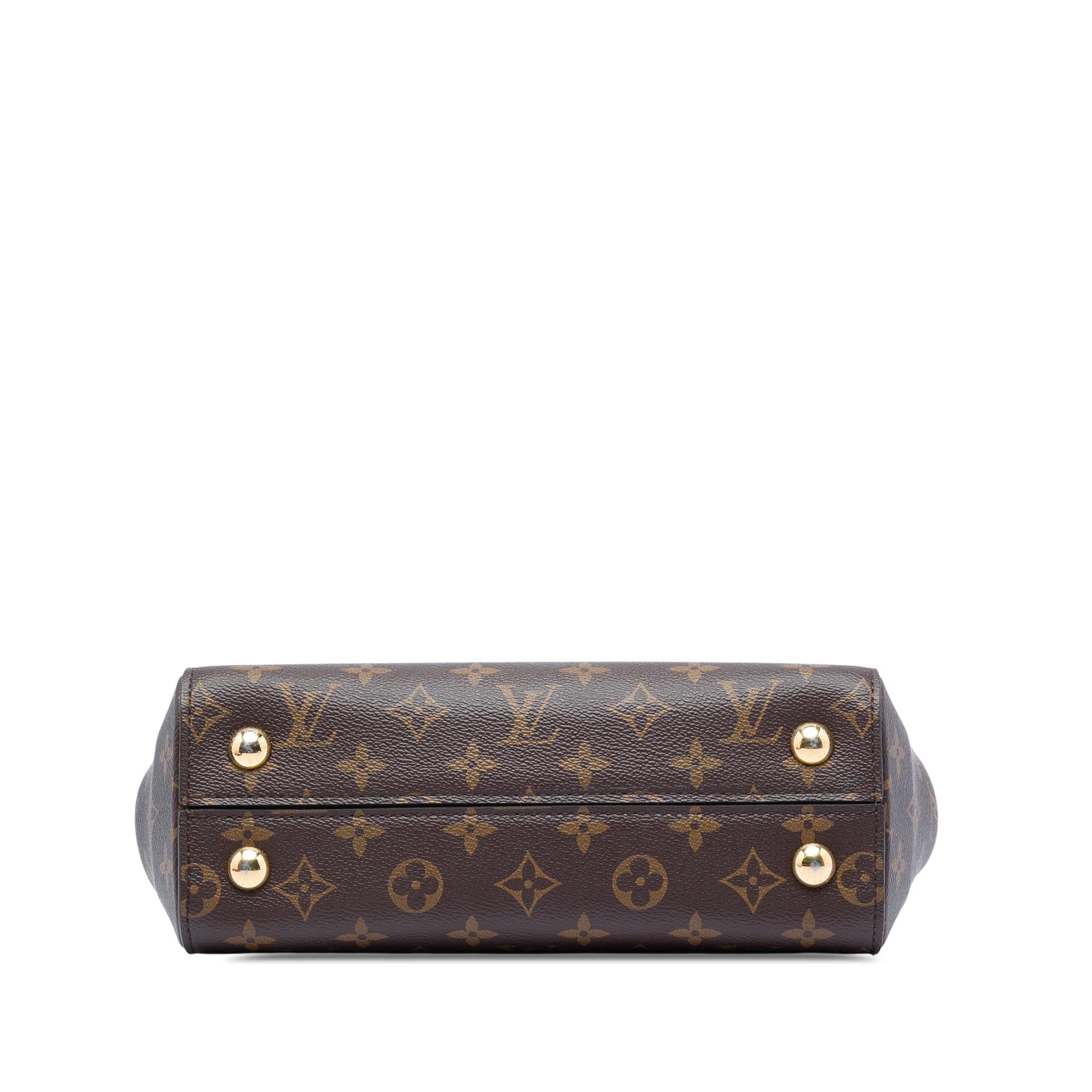 Louis Vuitton Monogram Cluny BB