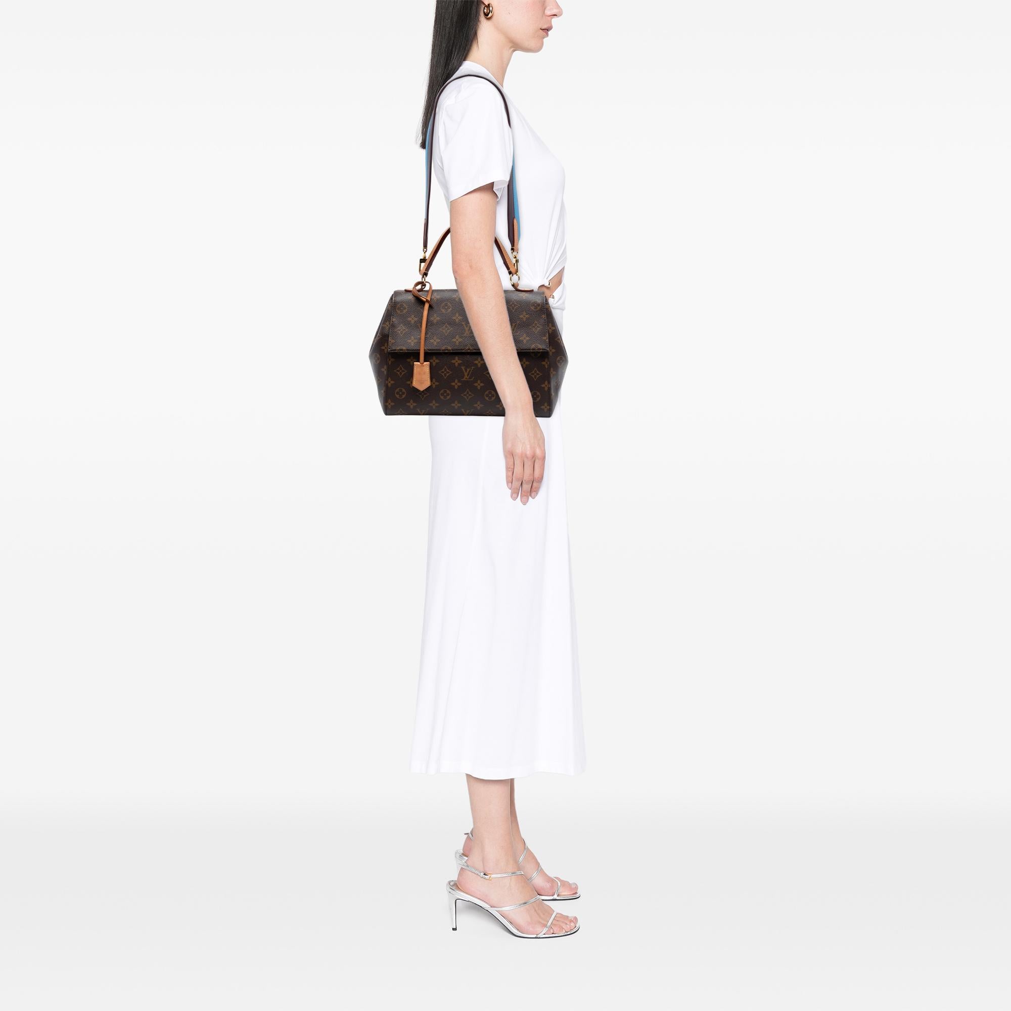 Louis Vuitton Monogram Cluny MM