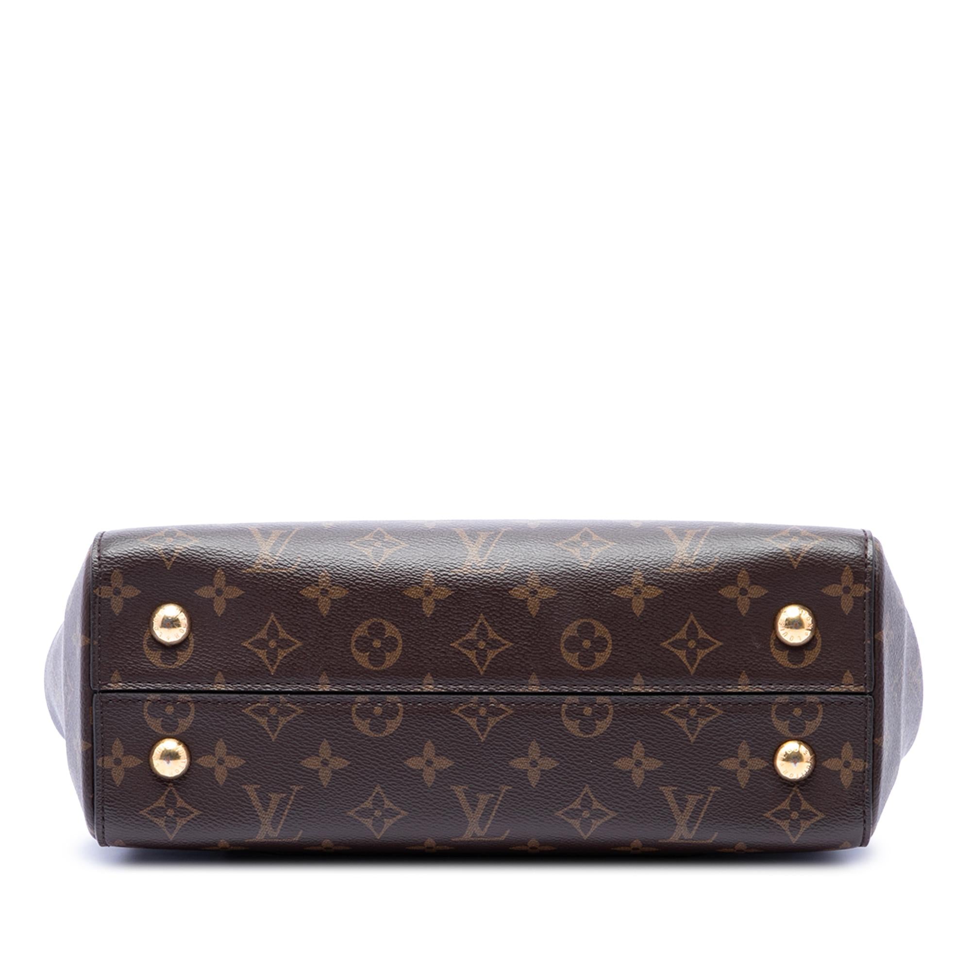 Louis Vuitton Monogram Cluny MM