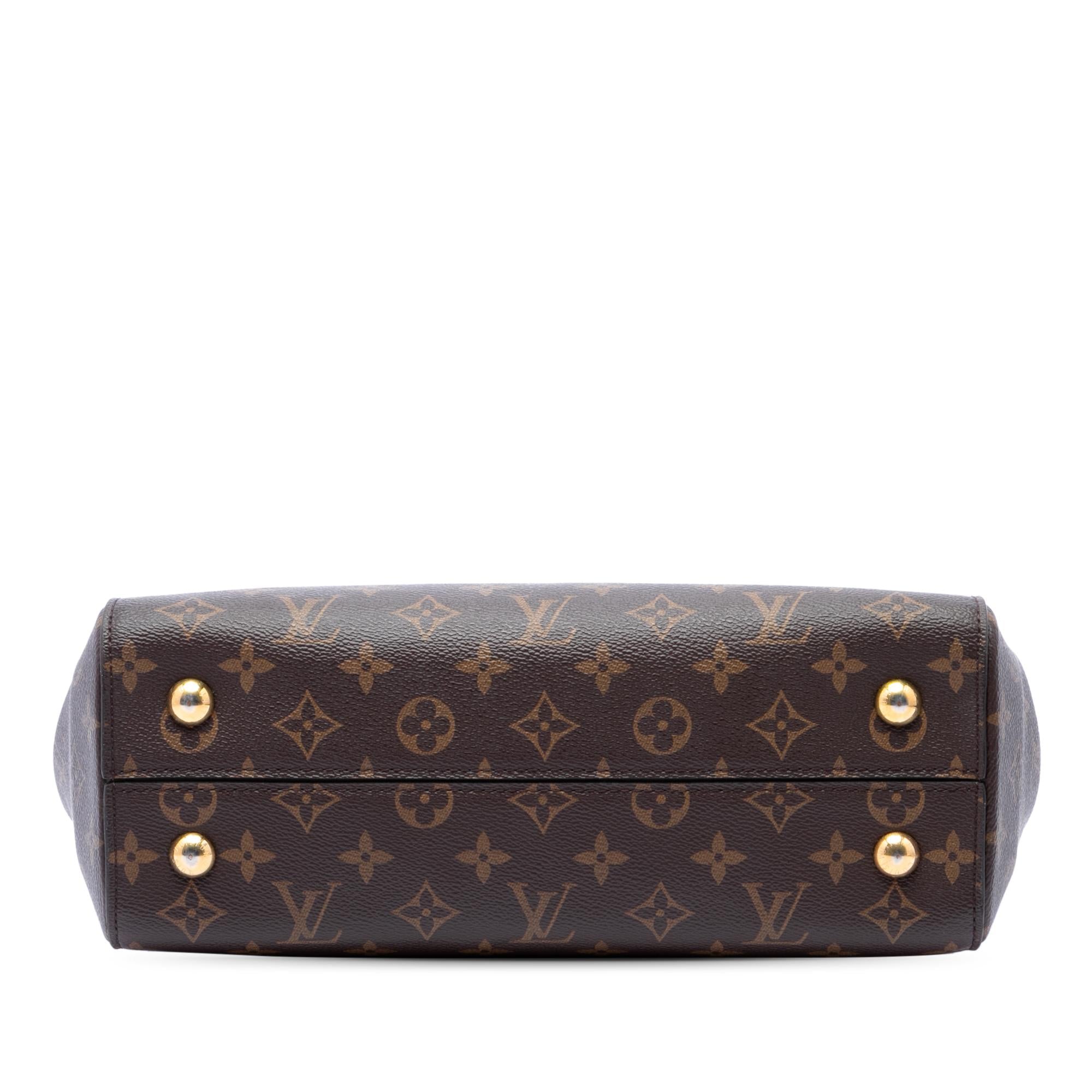Louis Vuitton Monogram Cluny MM