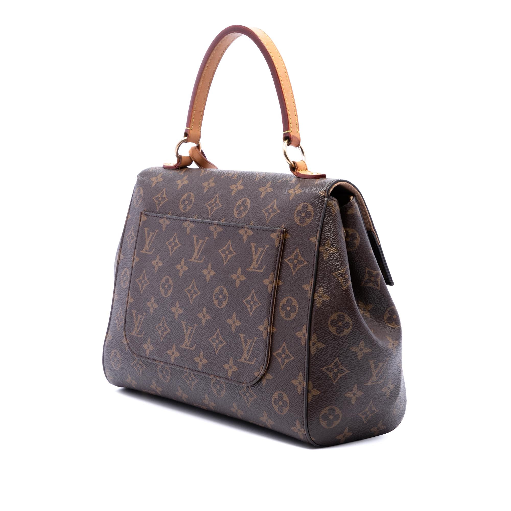 Louis Vuitton Monogram Cluny MM