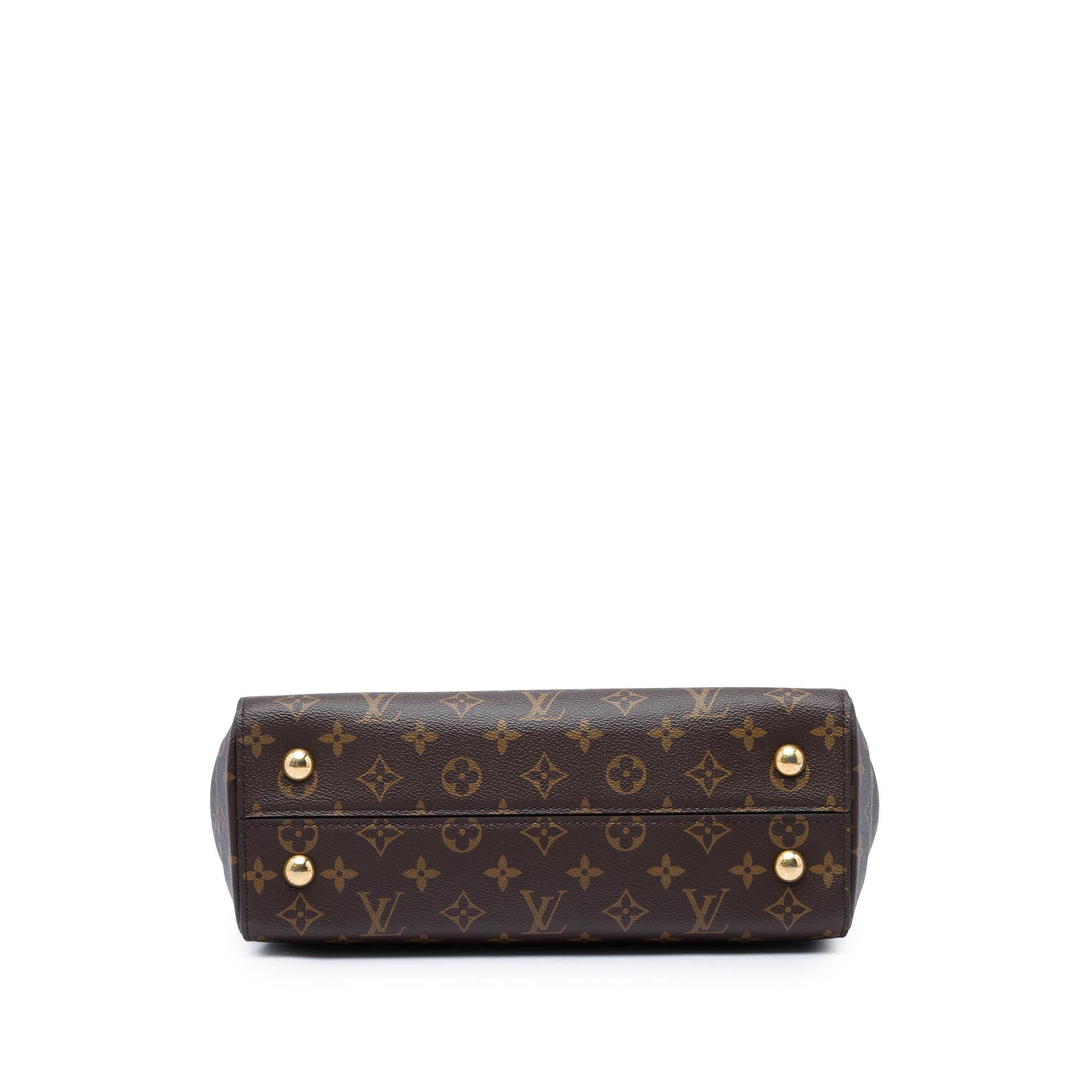 Louis Vuitton Monogram Cluny MM