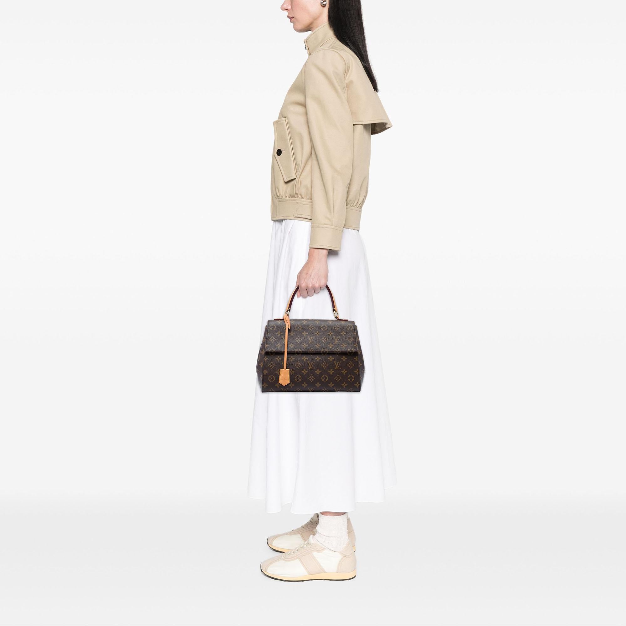 Louis Vuitton Monogram Cluny MM