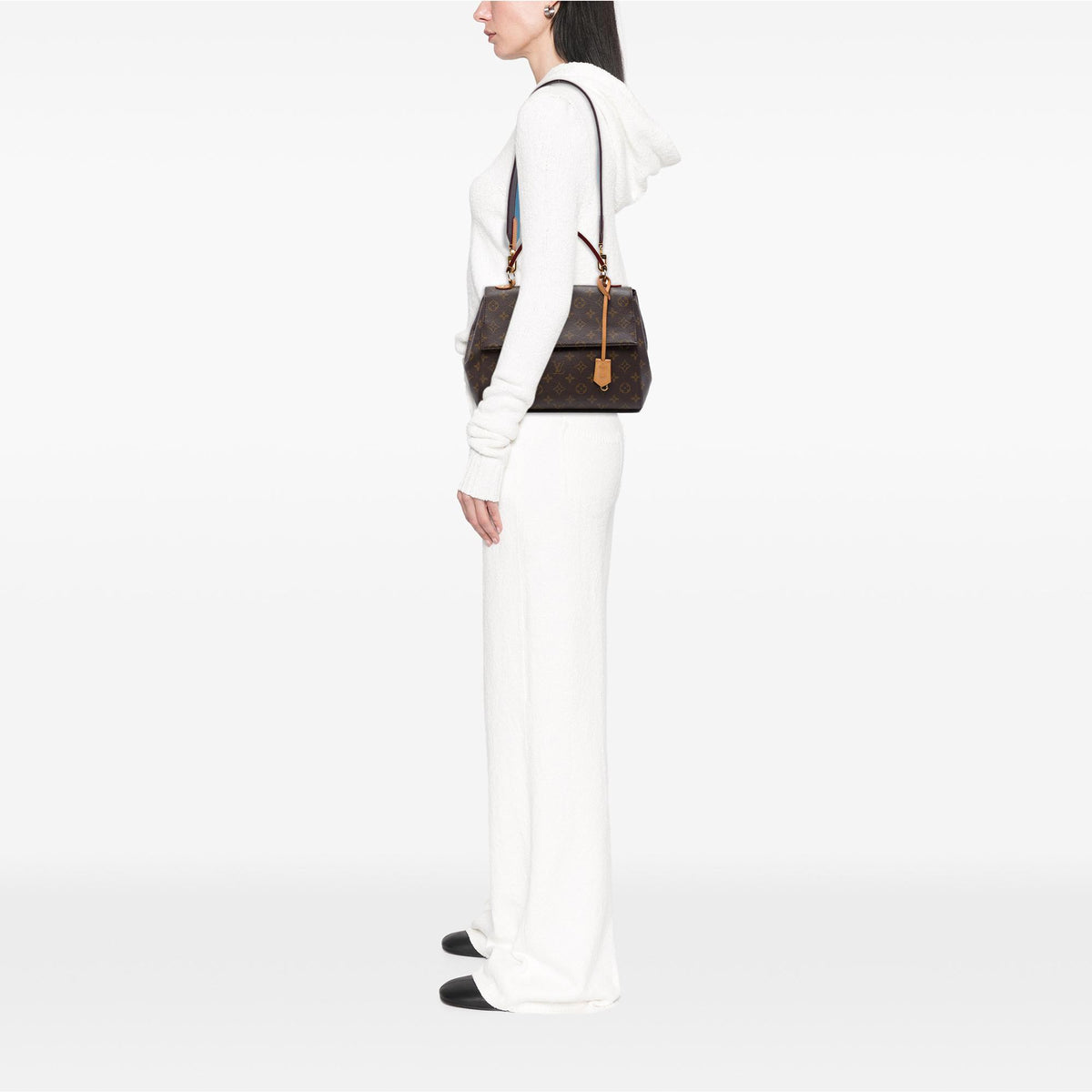 Louis Vuitton Monogram Cluny MM
