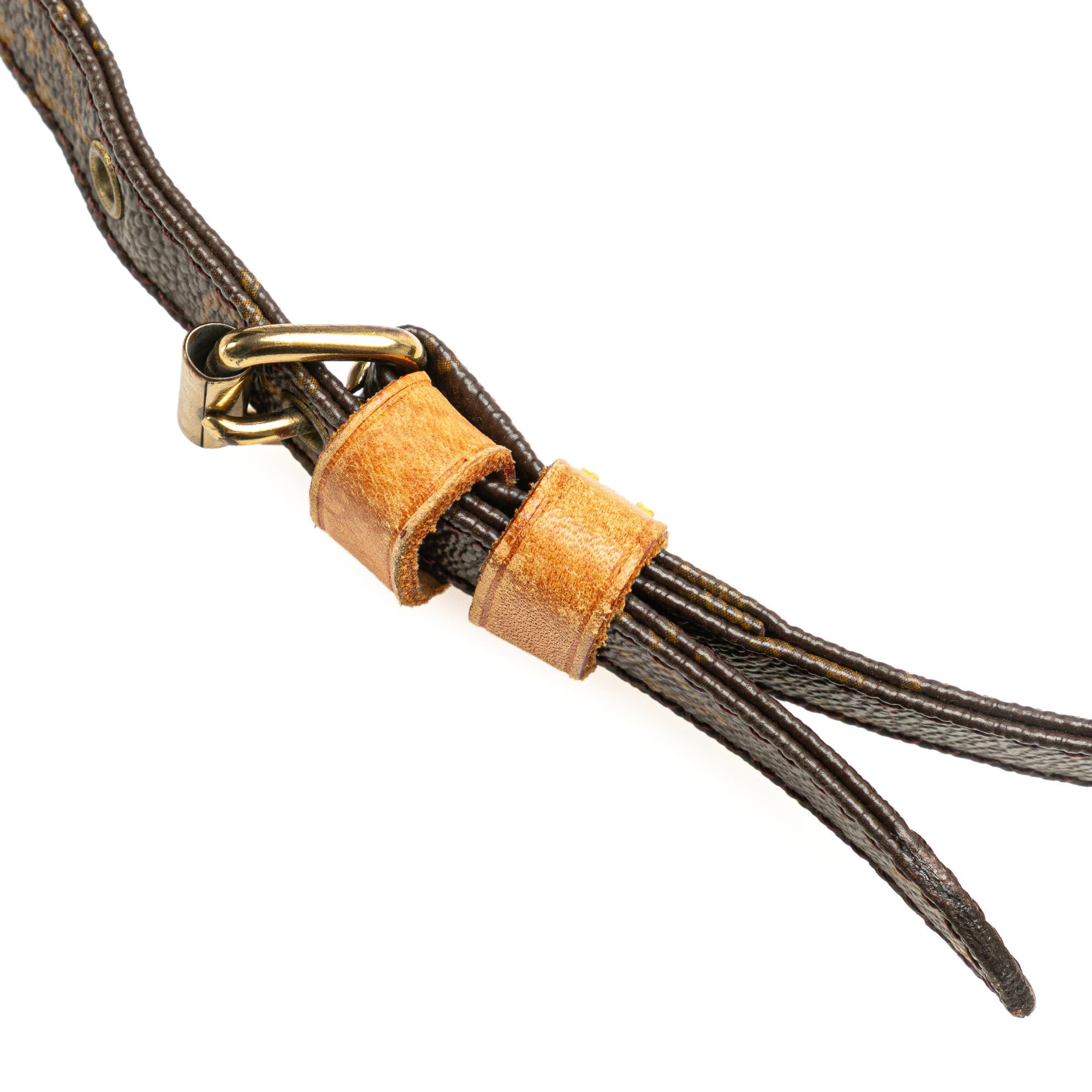 Louis Vuitton Monogram Danube